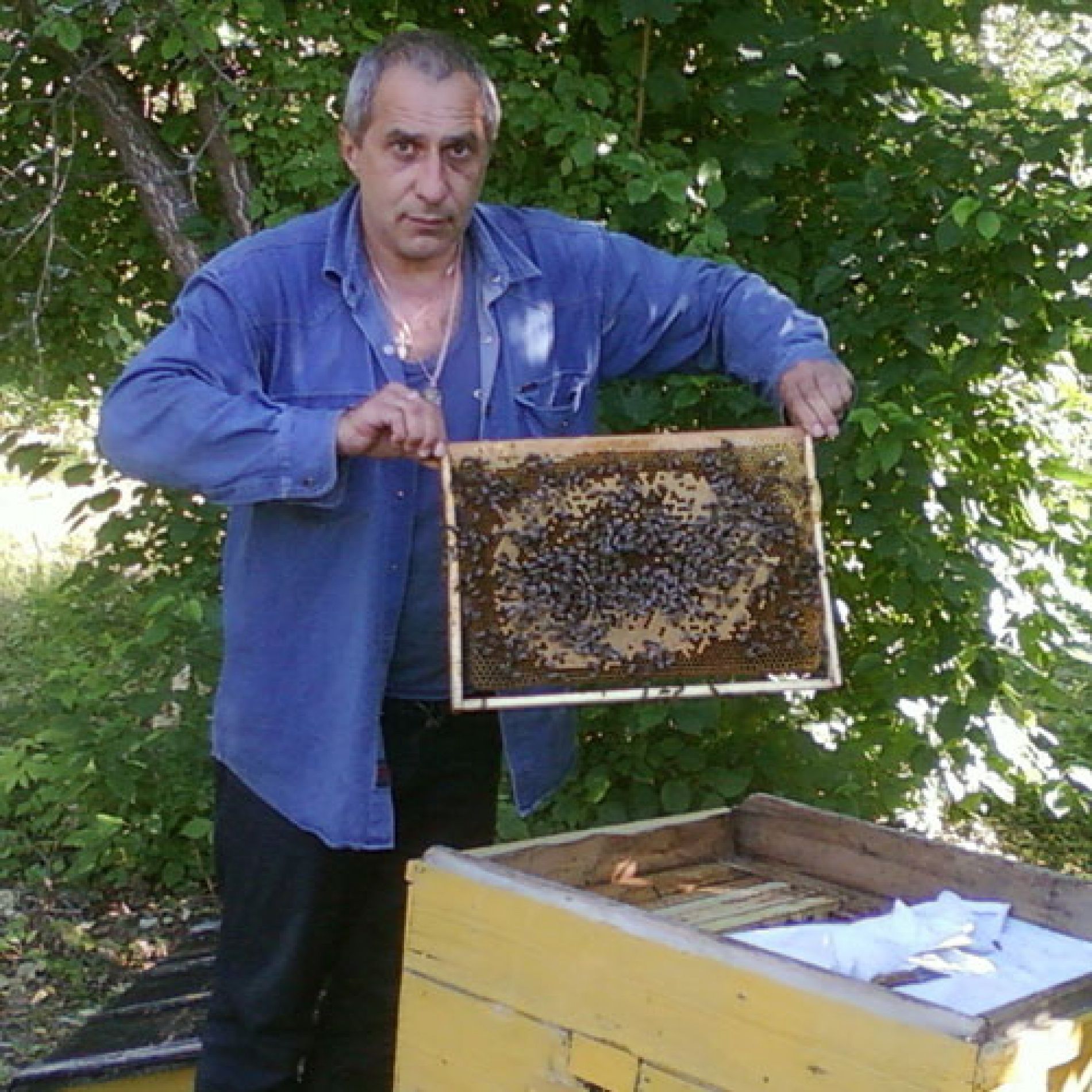 Фото Васильсурский