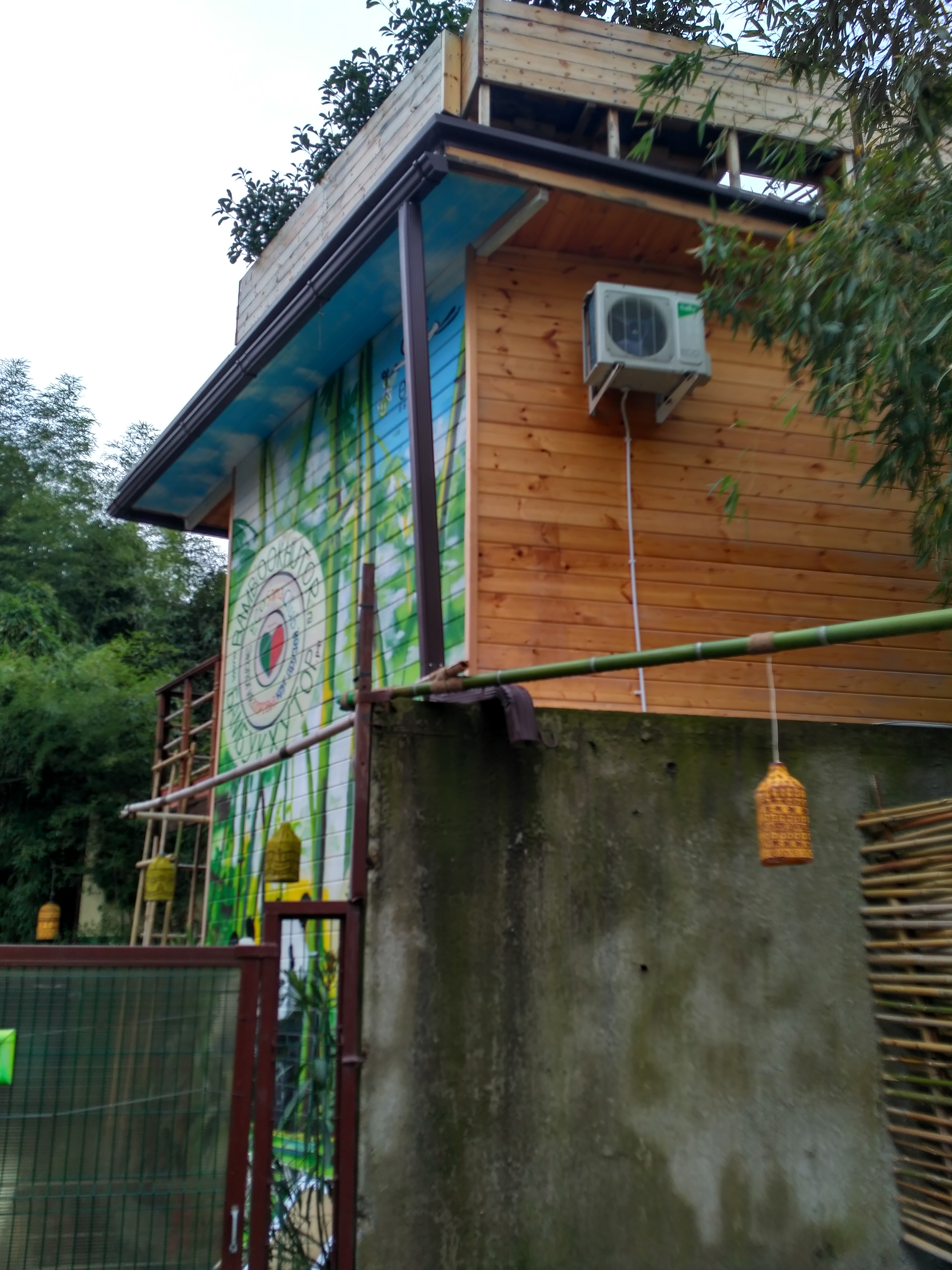 Фото Бамбук хутор