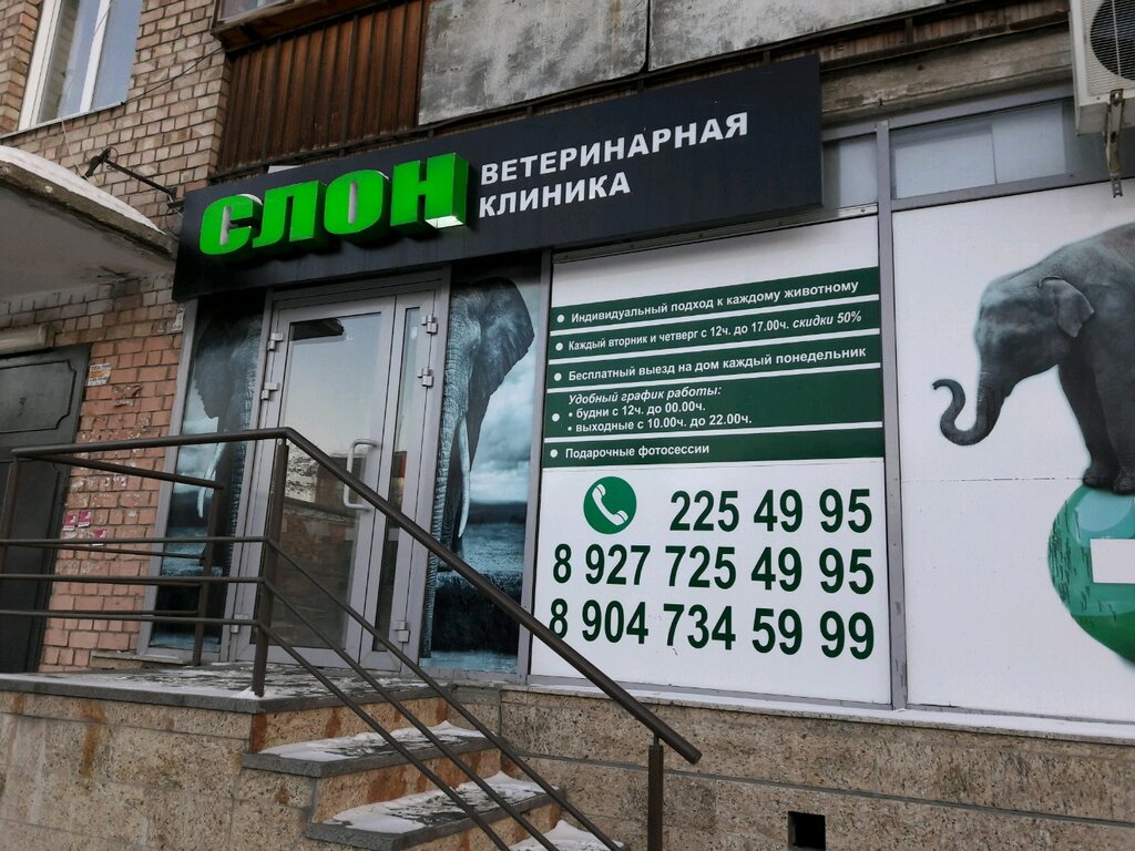 Счастливый Слон Пенза Официальный Сайт Магазин
