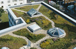 GreenGifts (Dukhovskoy Lane, 17с15), landscape design