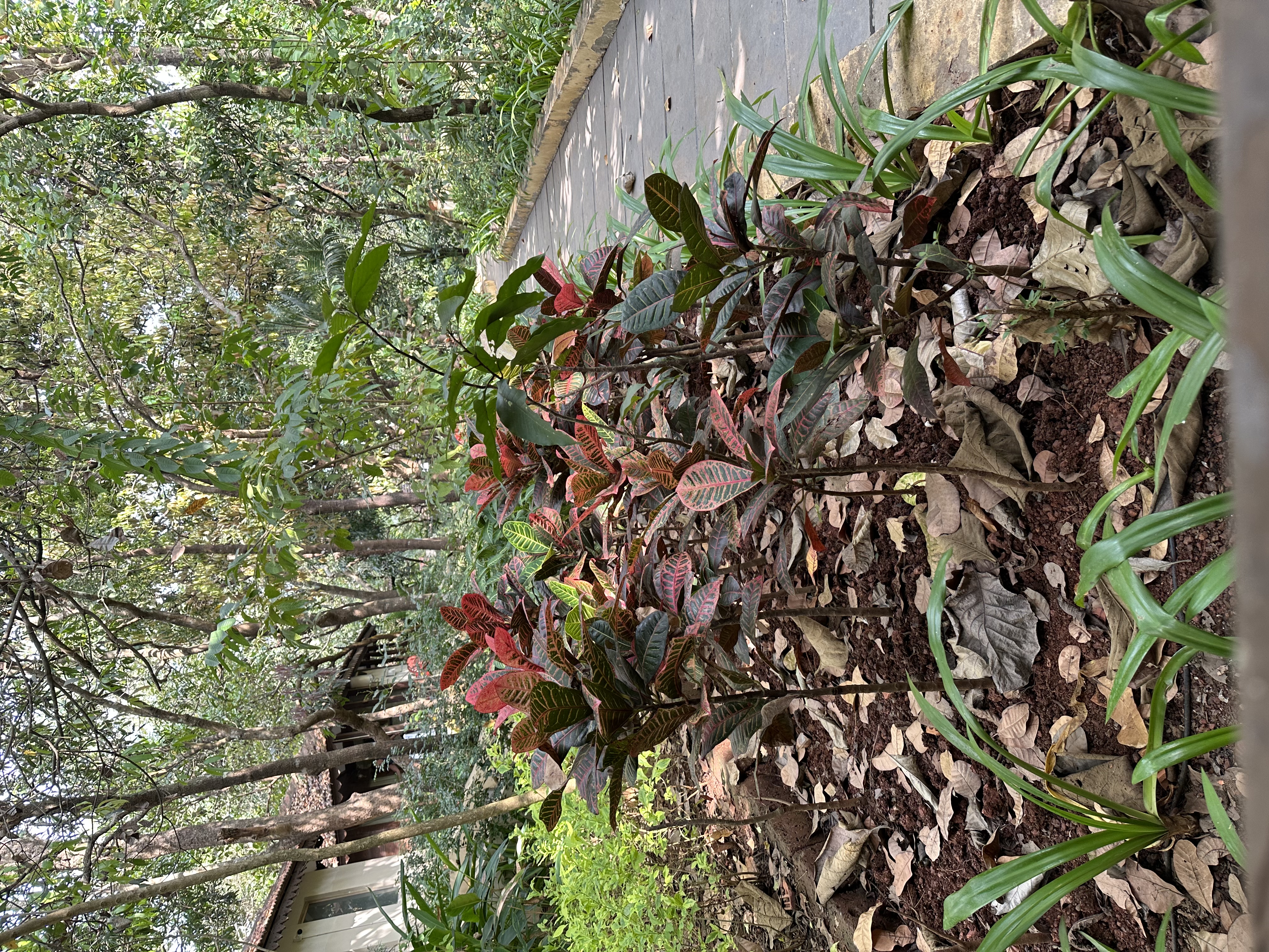 Фото Amritara Aura Resort & SPA	