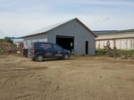 Profdom (Minsk, Brykieta Street, 25к9), rental of construction and special equipment