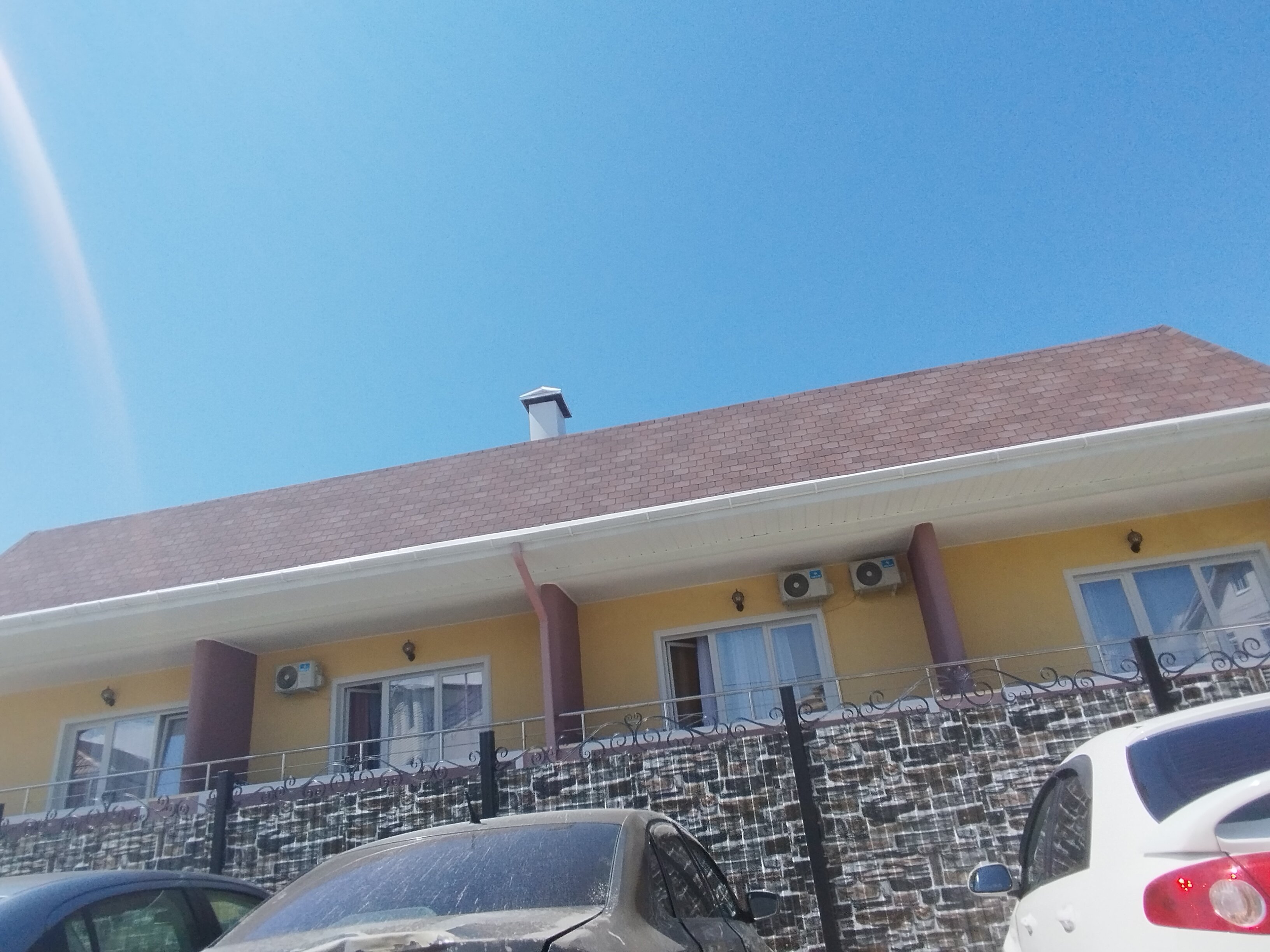 Фото Багира