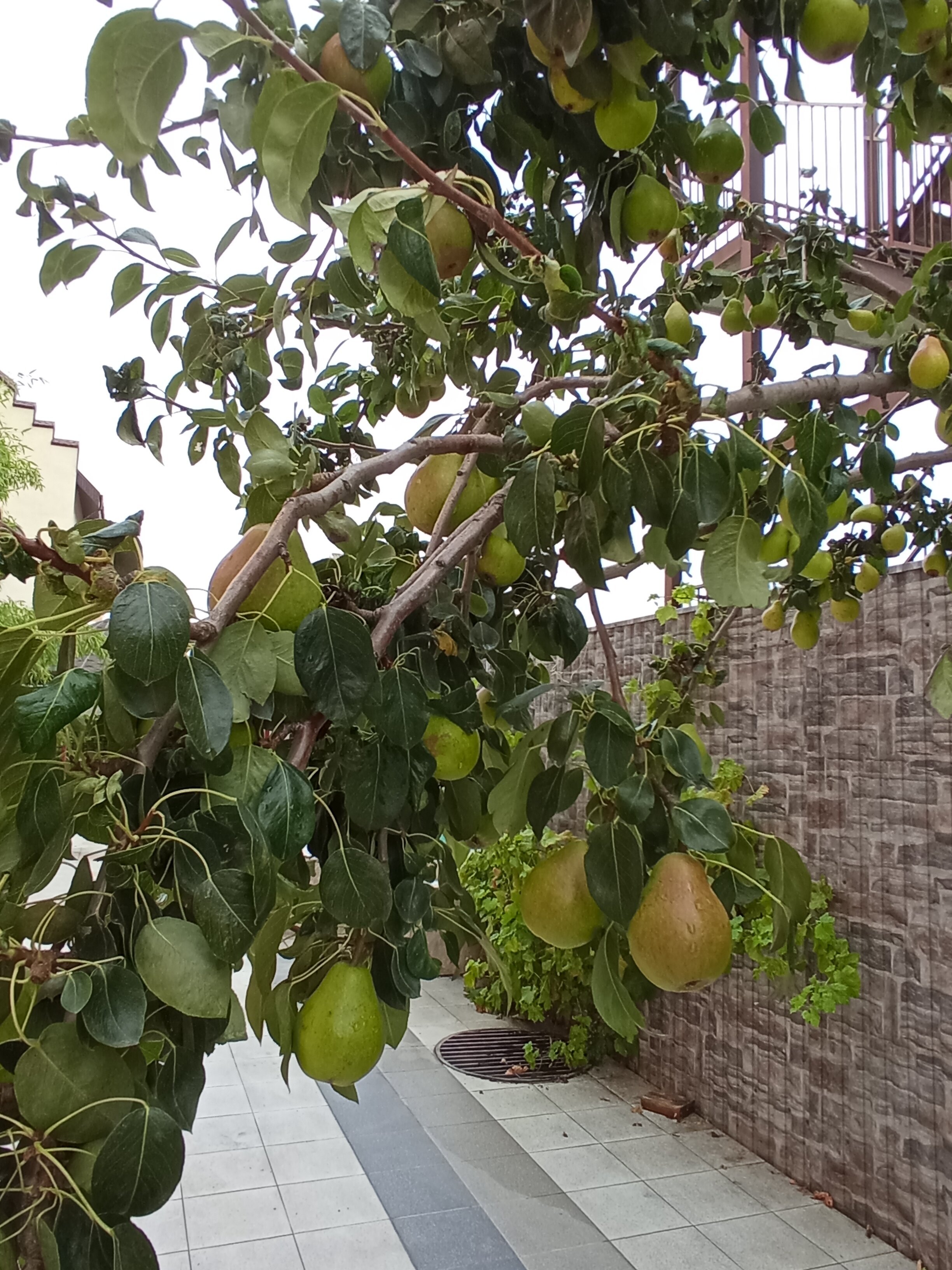 Фото Берег Крыма