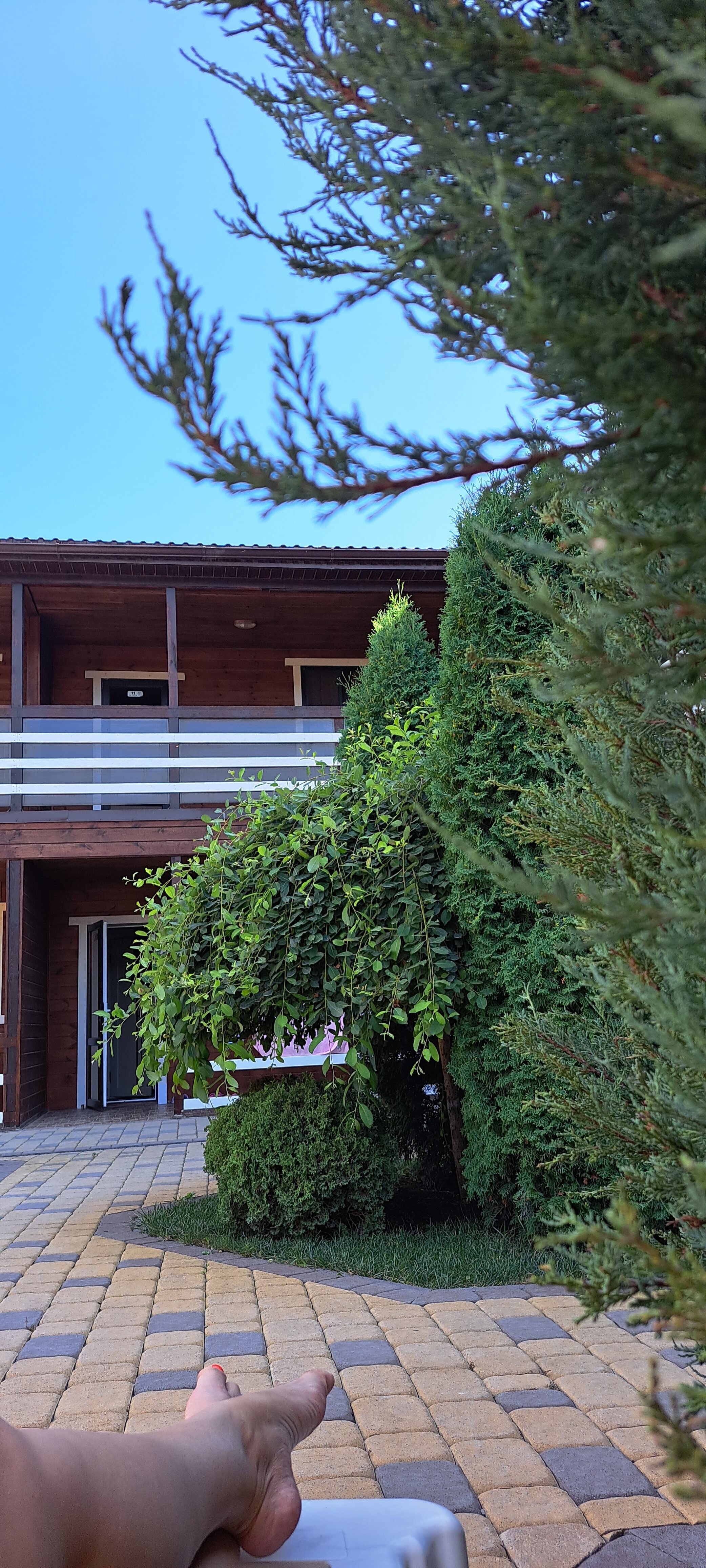 Фото ЛевРус