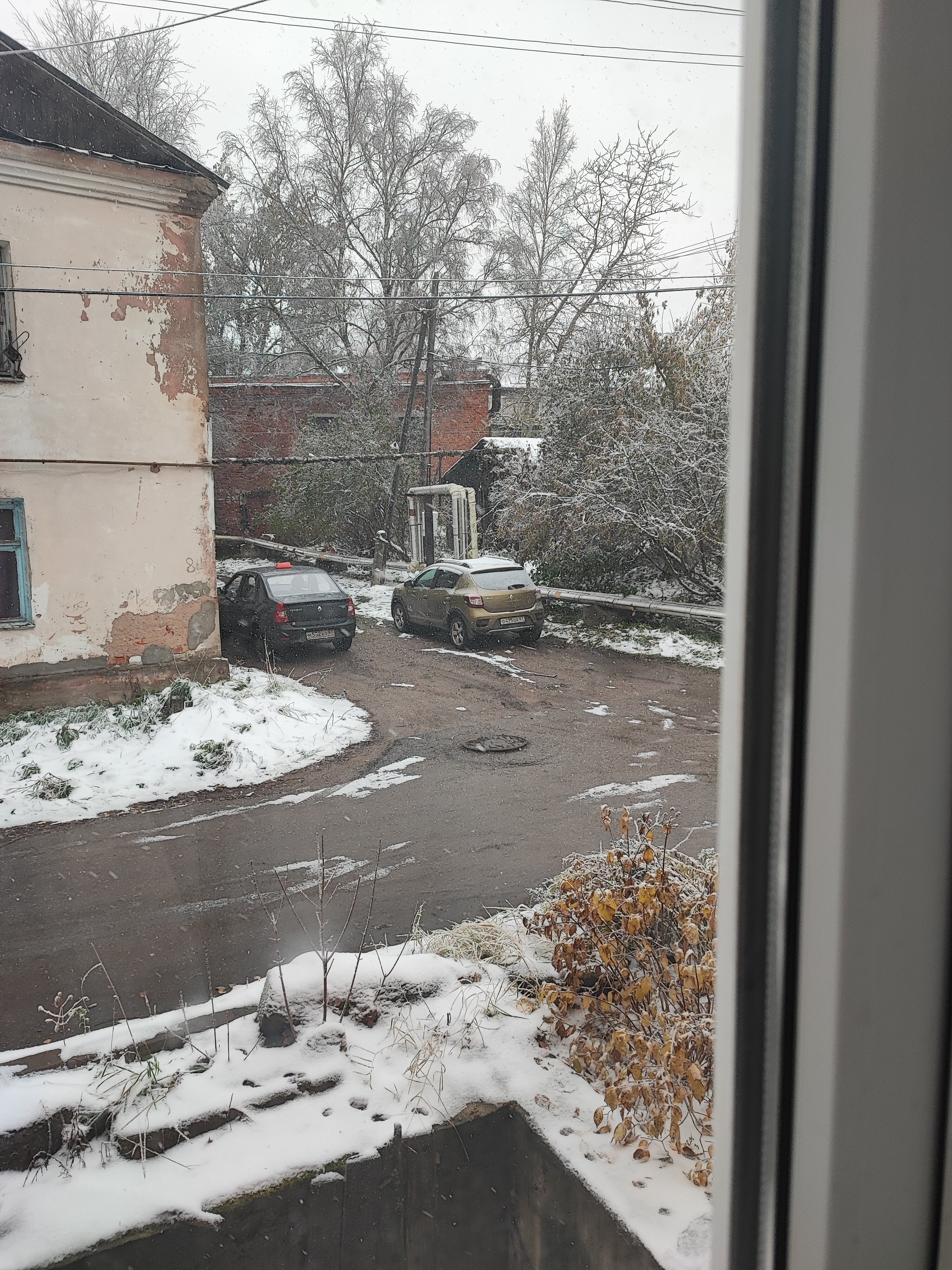 Фото Золотой улей