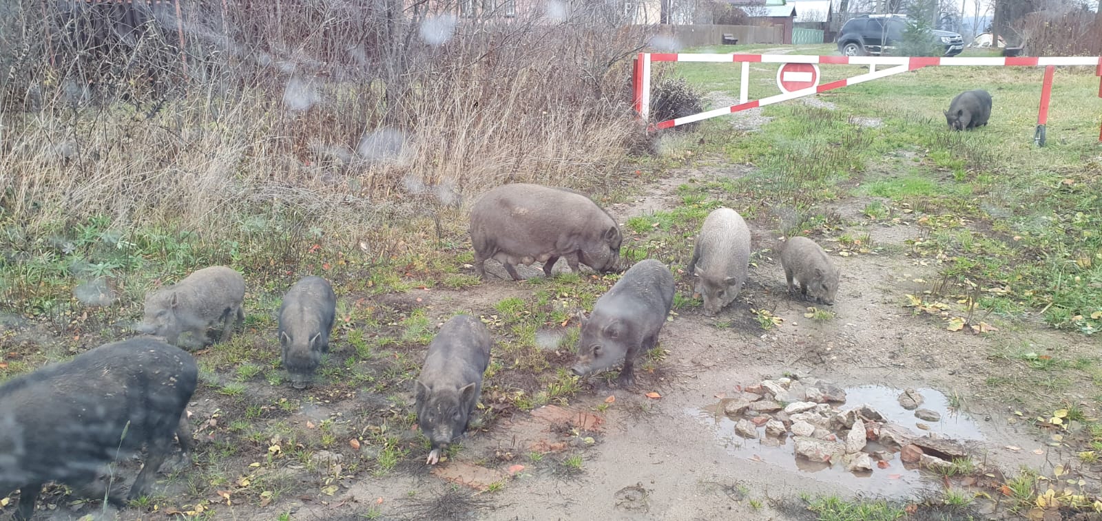 Фото Парк Север