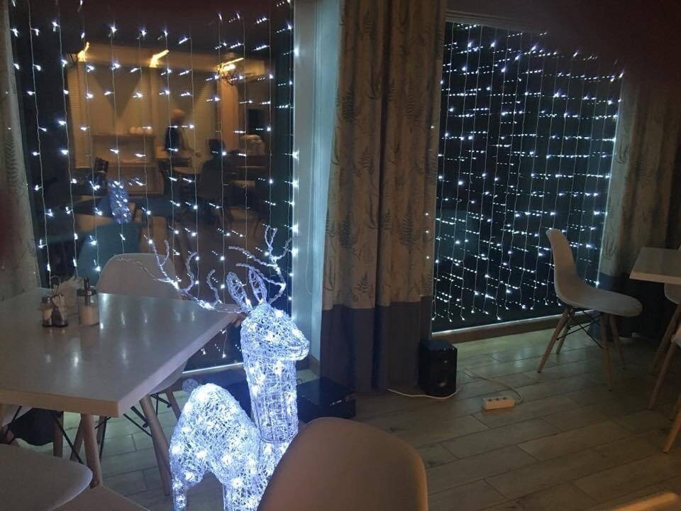 Фото Гнездо