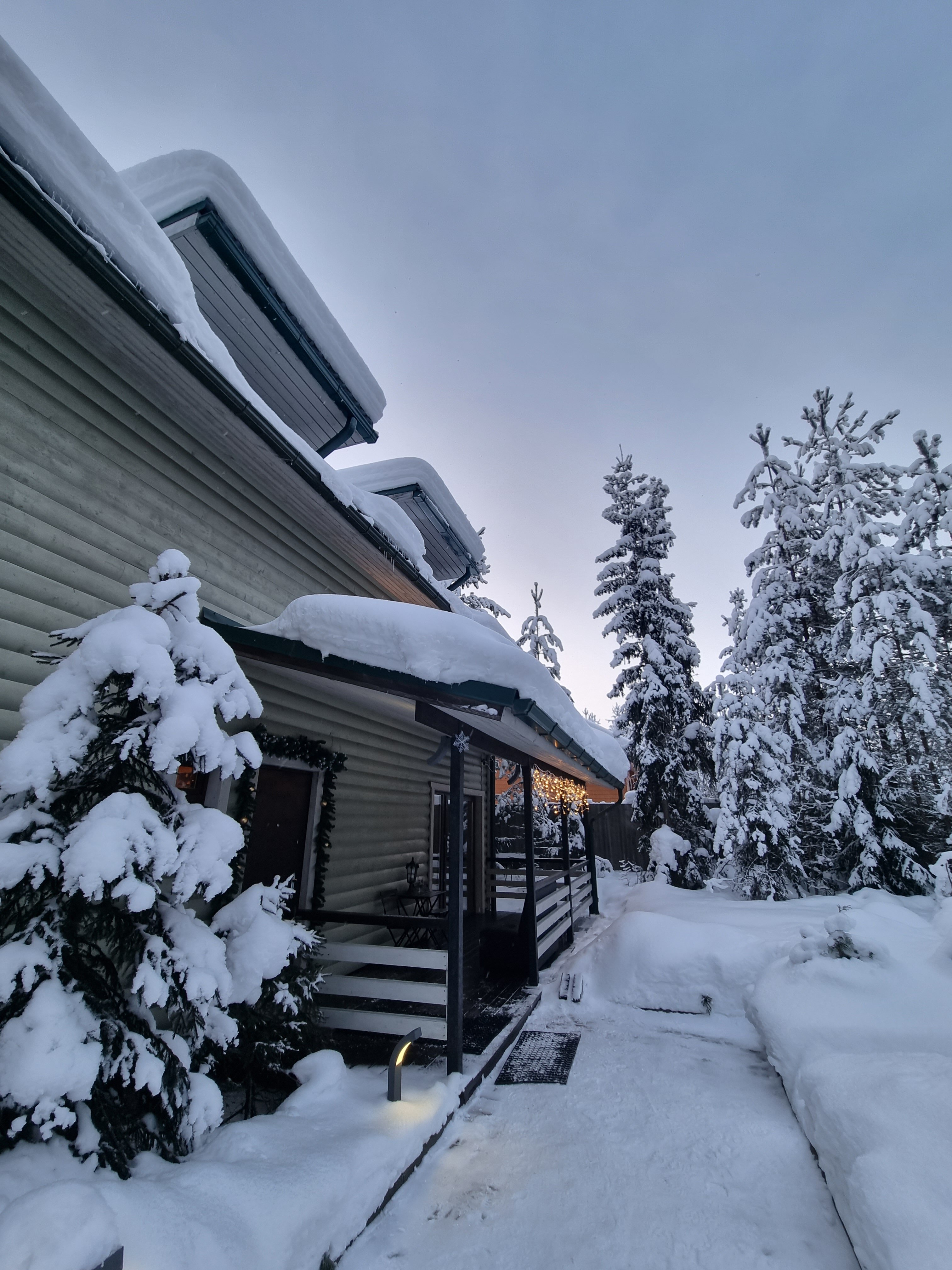 Фото Хвойный