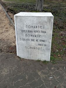 Помните! (Minskaja region, Barysaw, Borisovskiy skver), memorial plaque, foundation stone