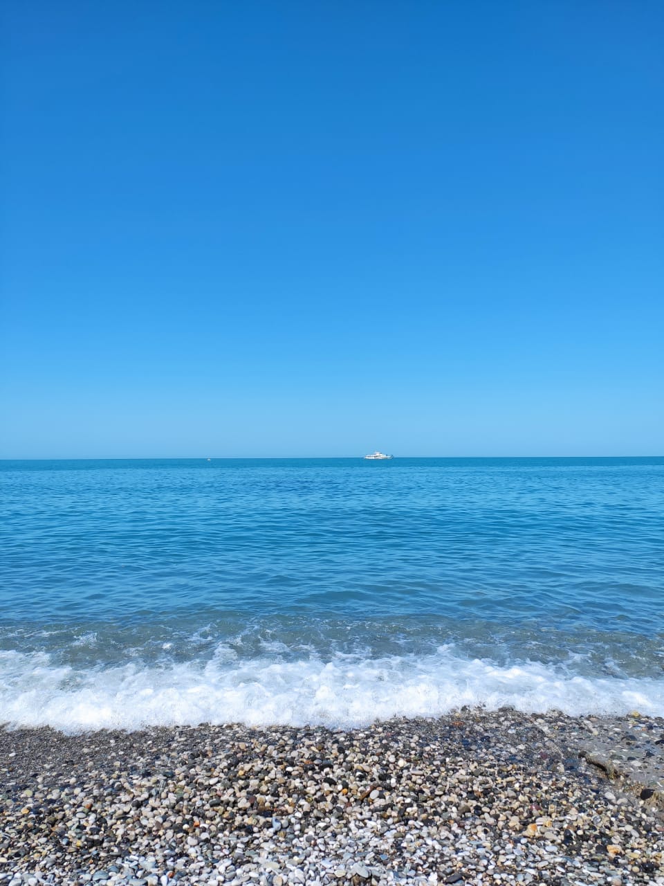 Фото WellNess Park Hotel Gagra