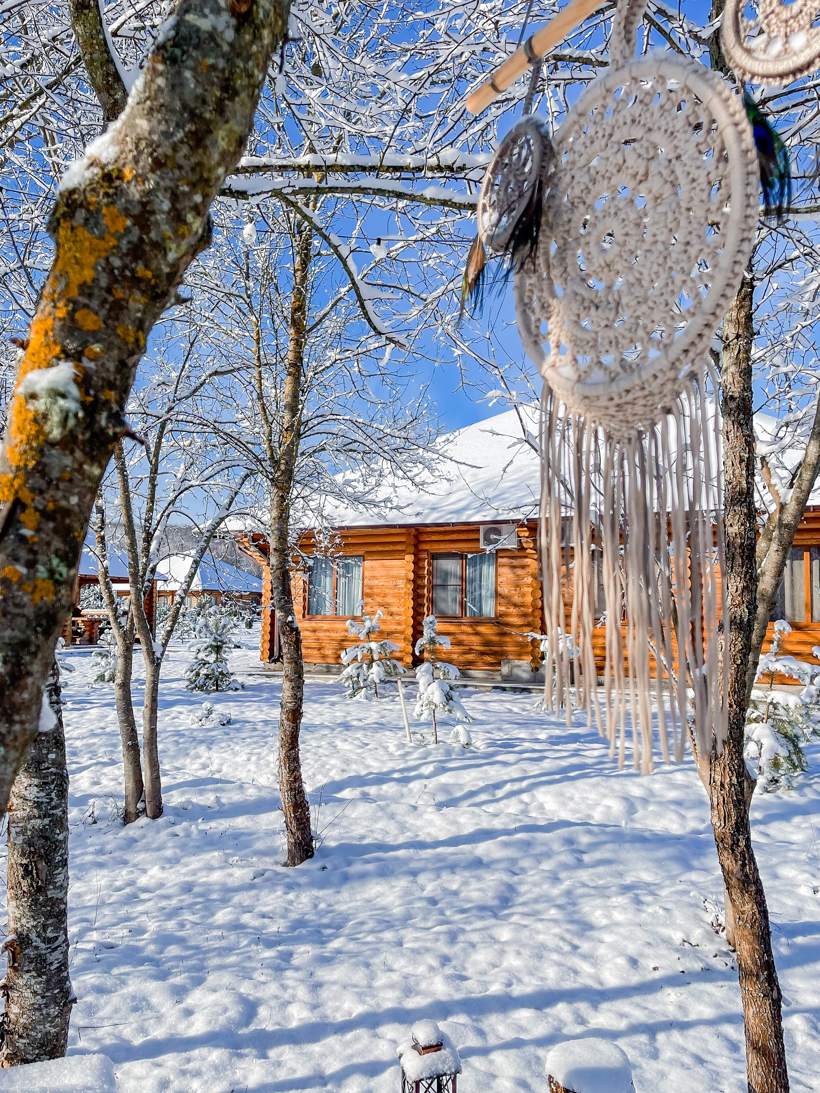 Фото Зеленые холмы