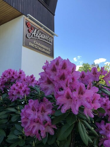 Хостел Alpenrose - Hostel в Шамони