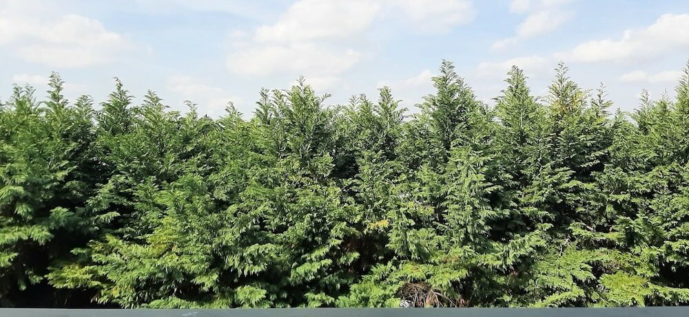 Фото Hotel Querini Budget & Business Hotel