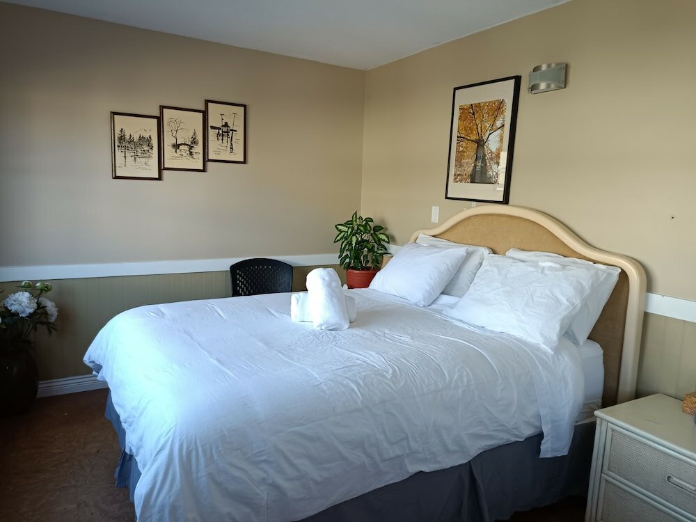 Фото Painted Turtle Guesthouse