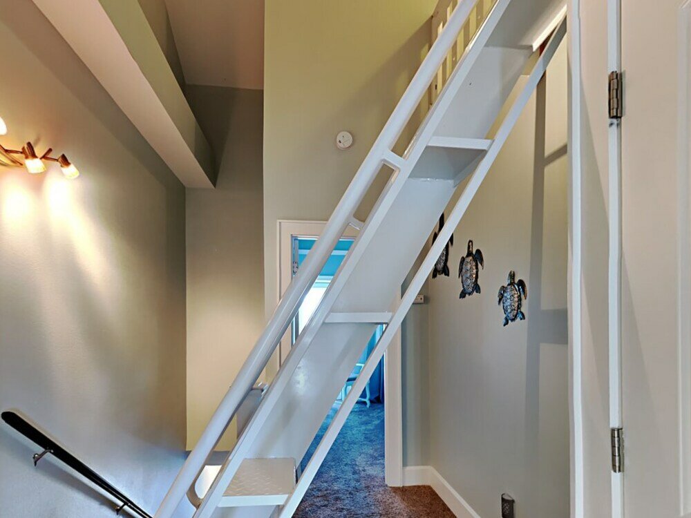 Фото Sharp Reef № 4 - Endless Summer