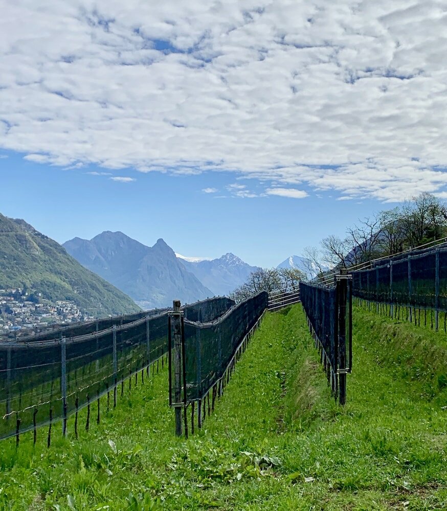 Фото Bigatt Hotel & Restaurant