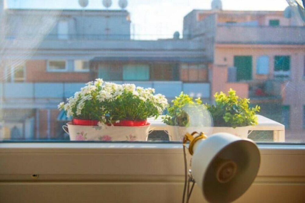 Фото Letto & Latte Roma