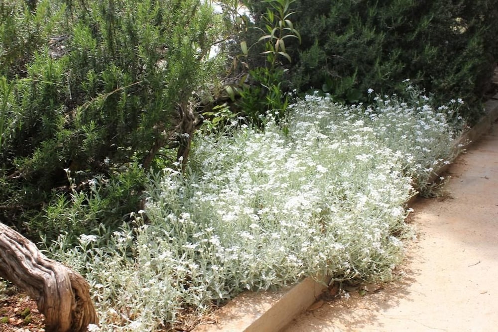 Фото Holiday Home Sea View