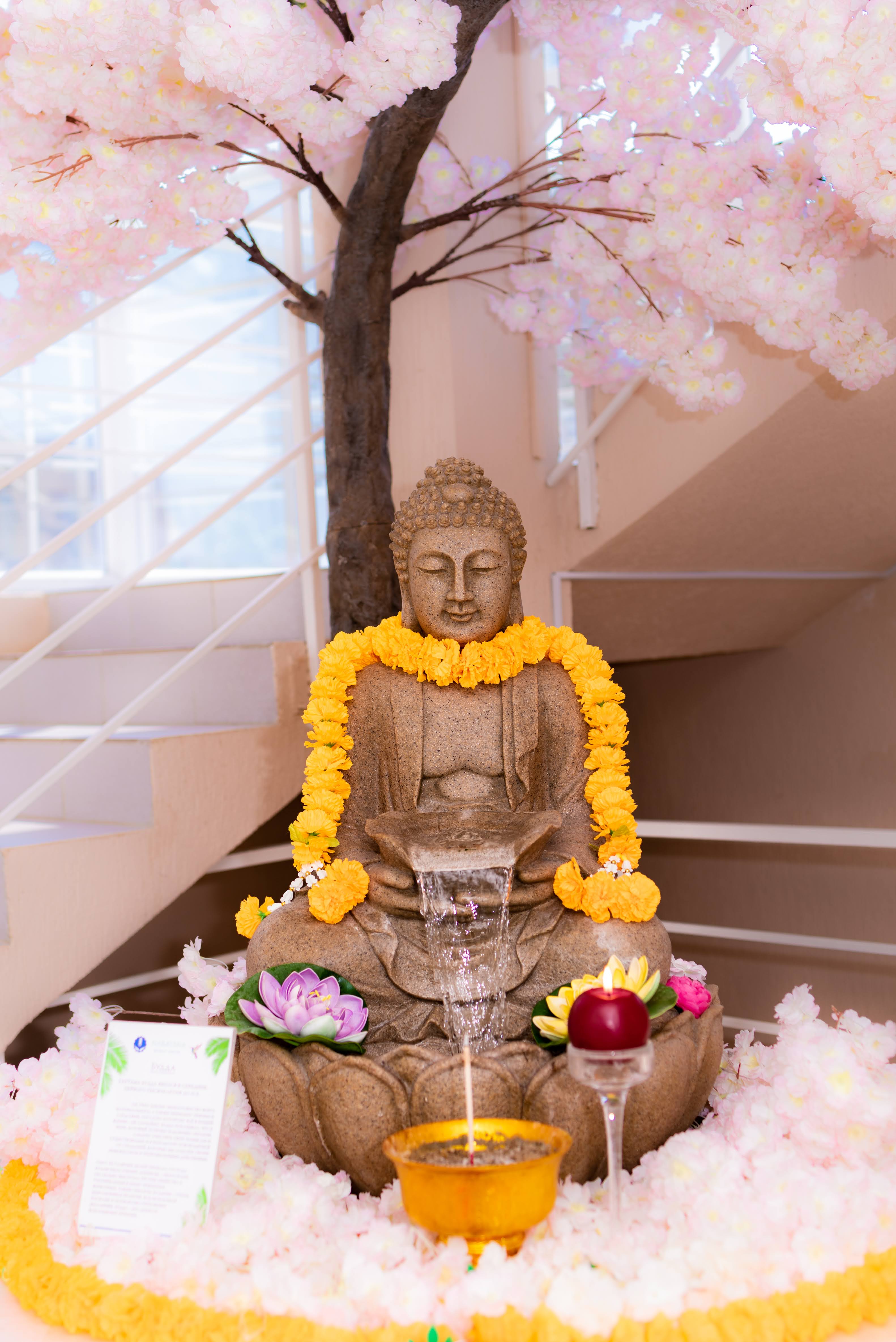 Фото Нараяна