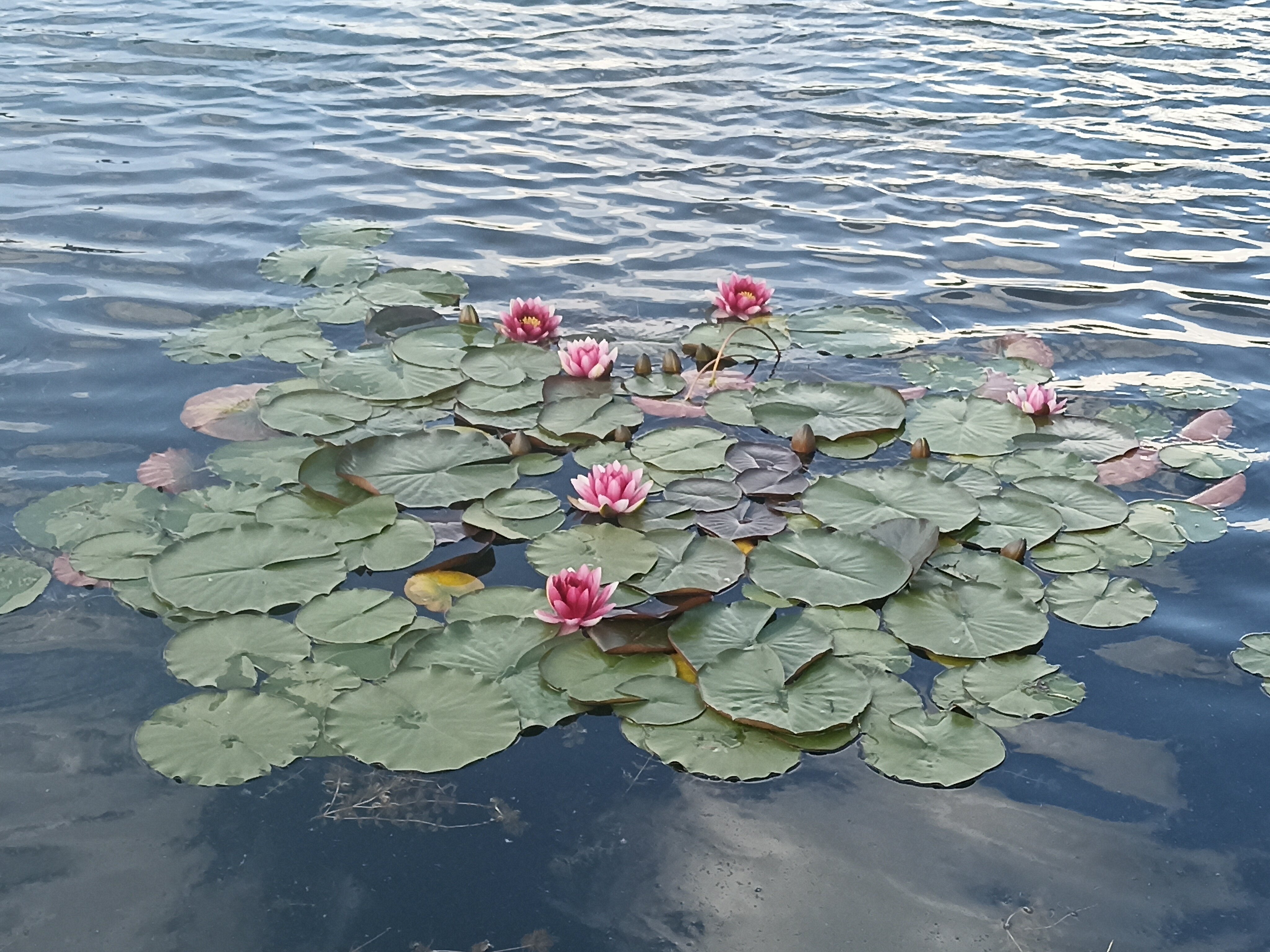 Фото Горное озеро от Травел Хотелс Антураж