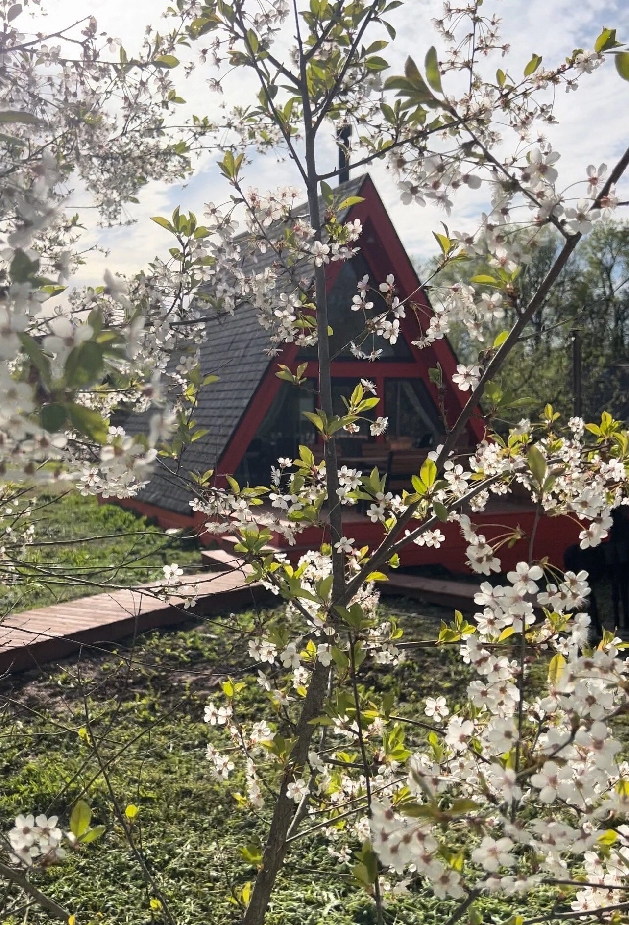 Фото Алтун Хом