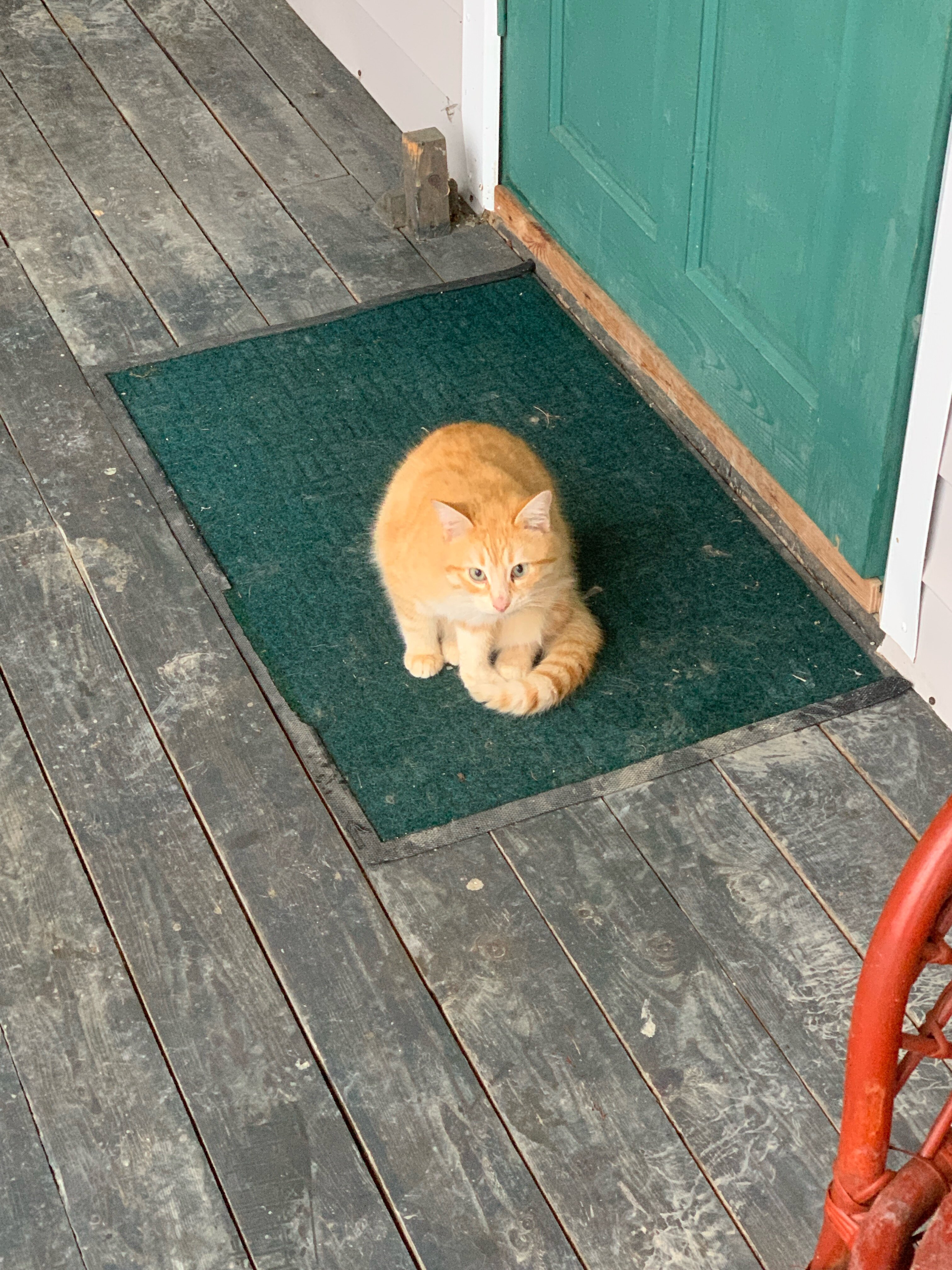 Фото Дедеркой мой рай
