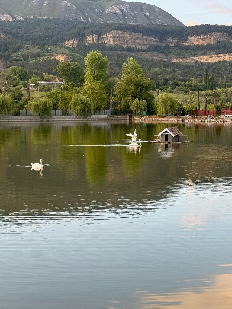 Рыбное хозяйство, рыбоводство Форелевый Племенной завод, Кисловодск, фото