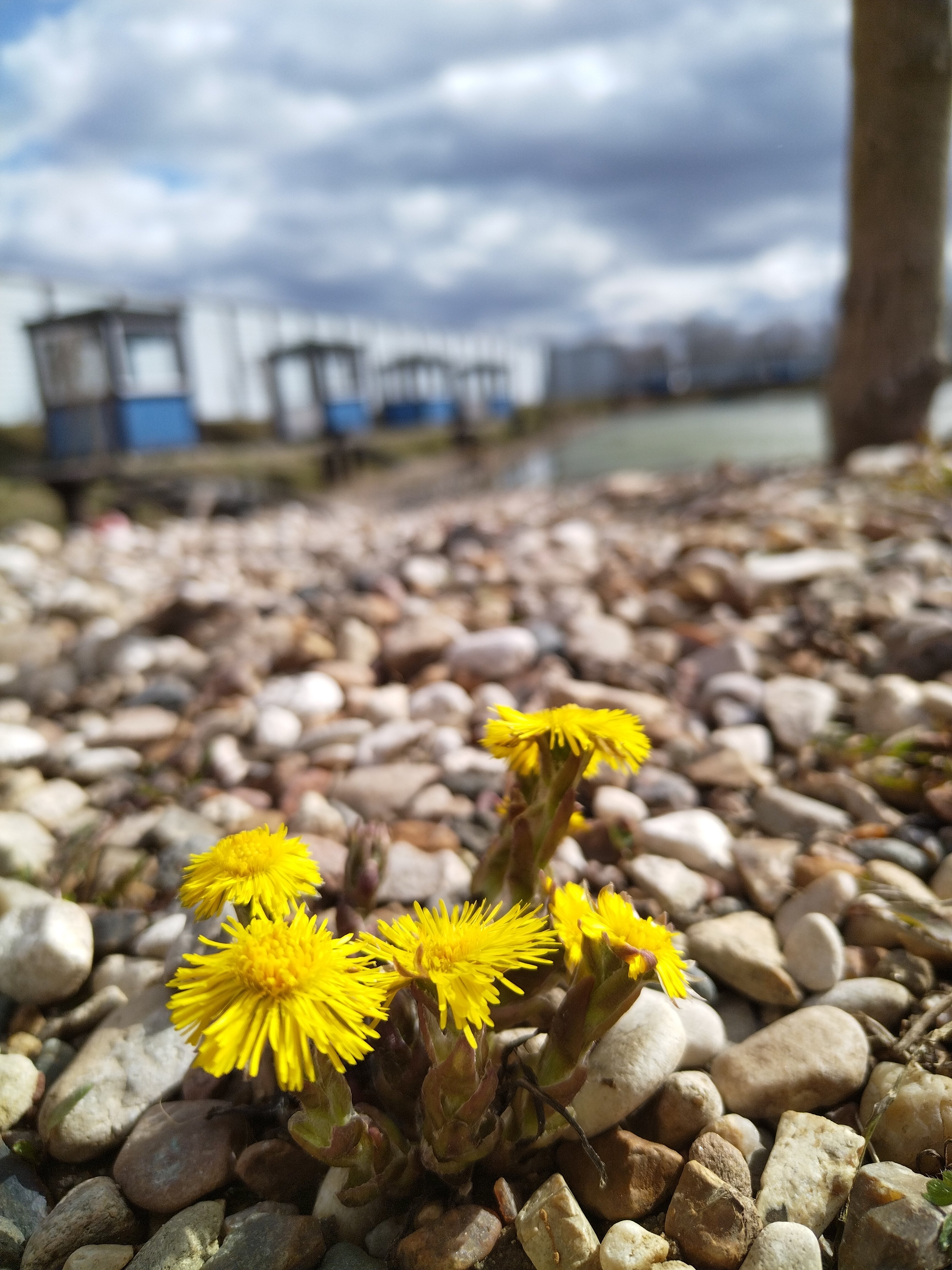 Фото Солнечное Озеро