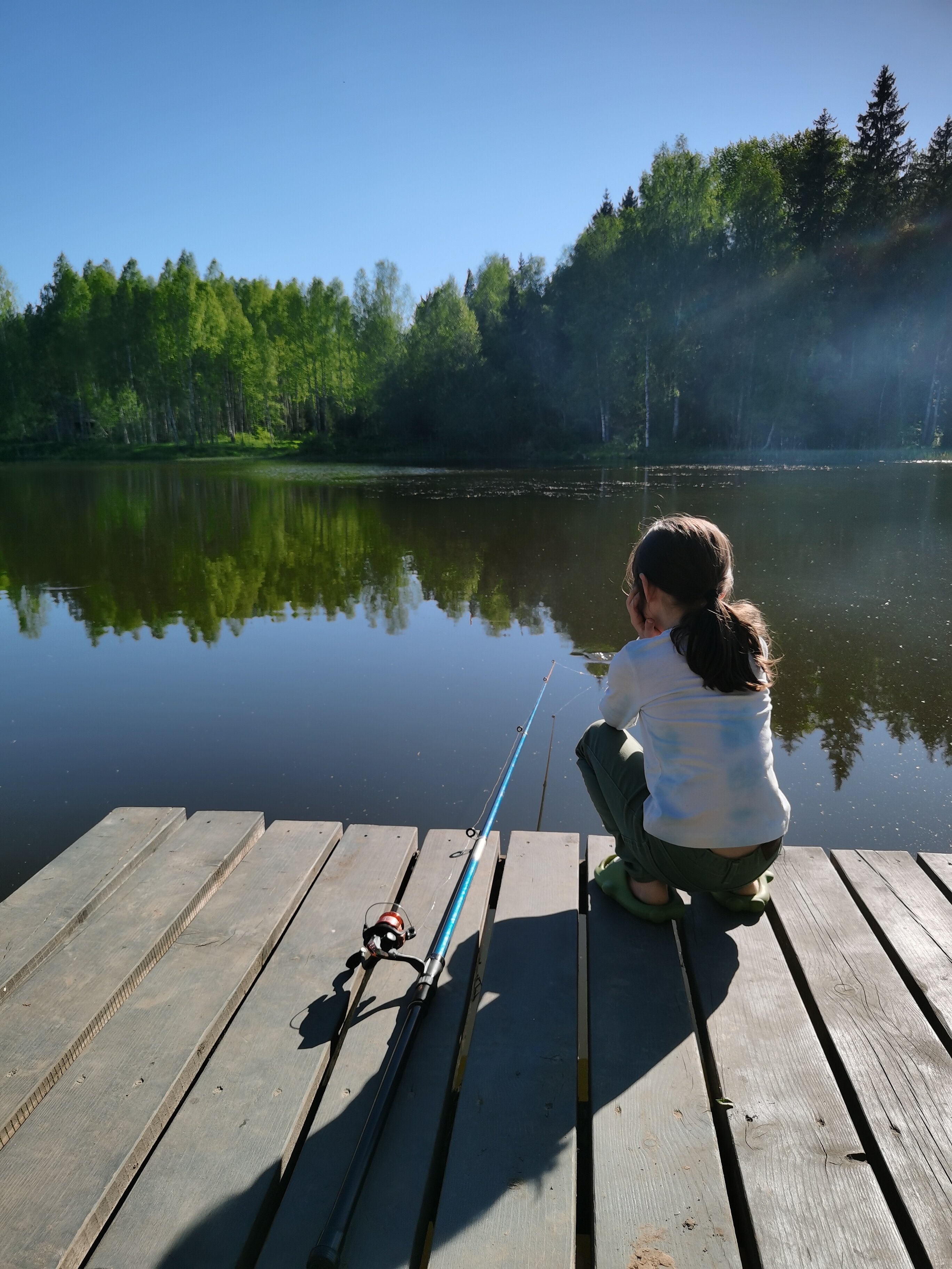Фото Прованс