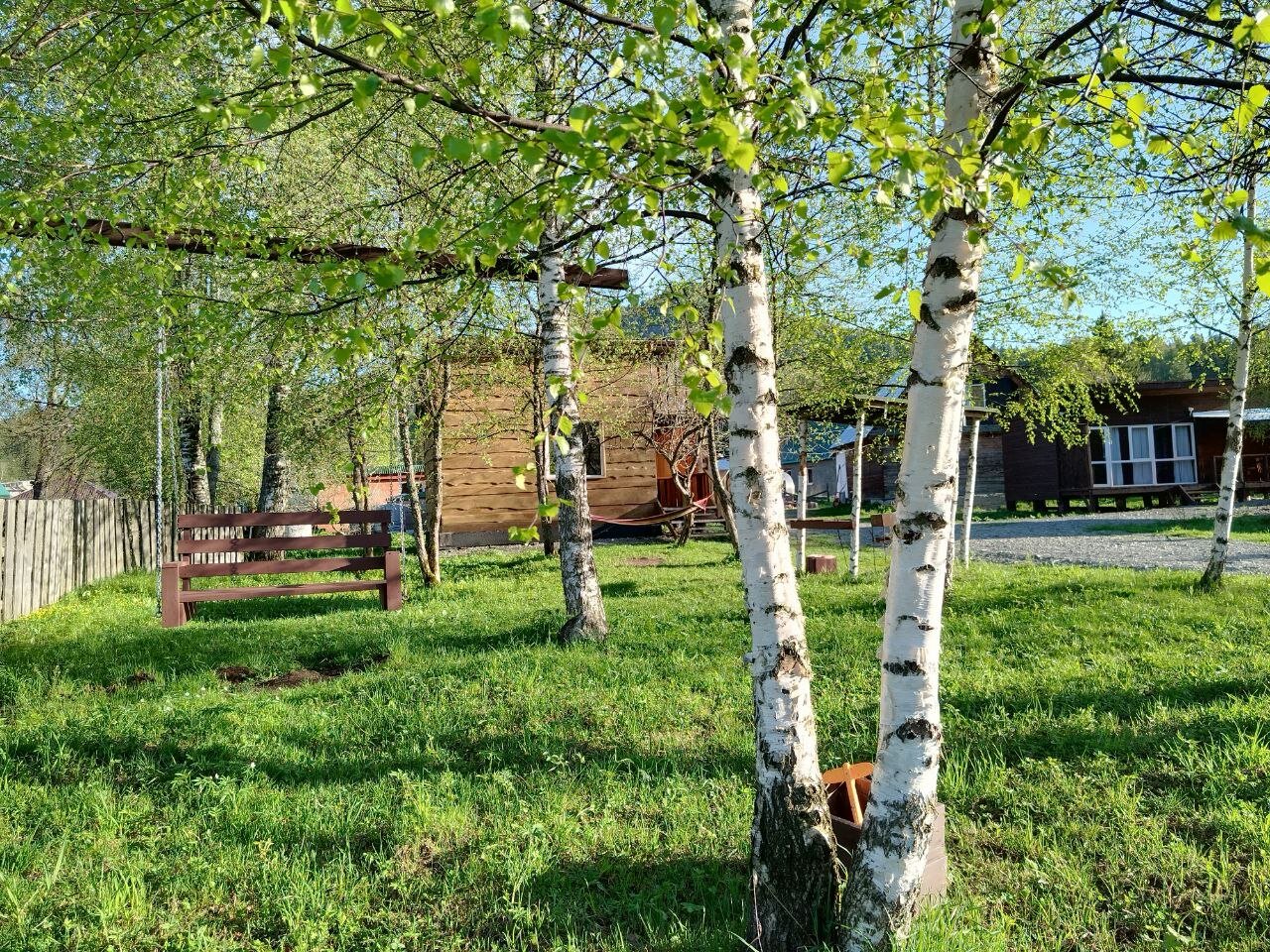 Фото Отдых Телецкое