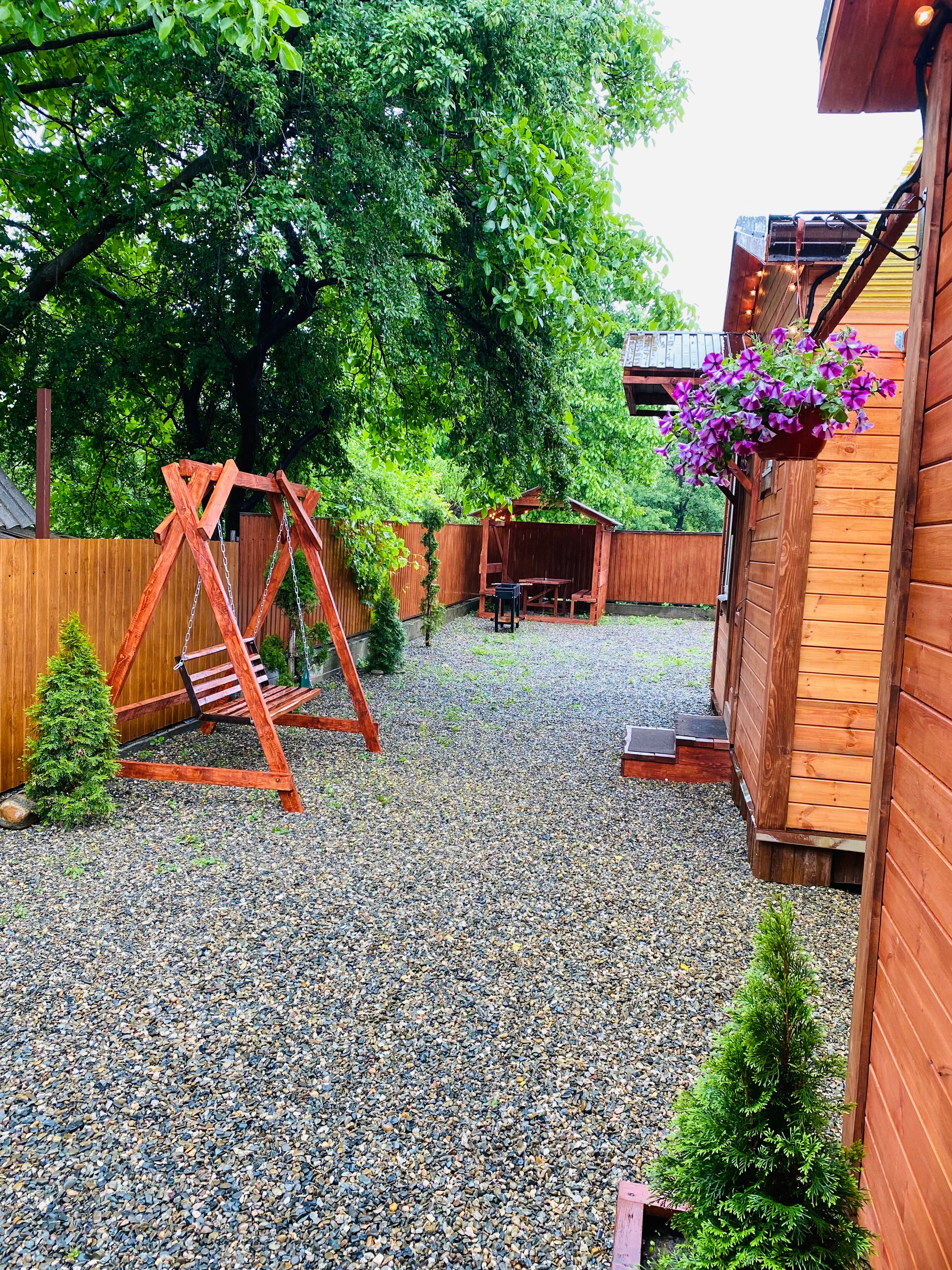 Фото Проксима