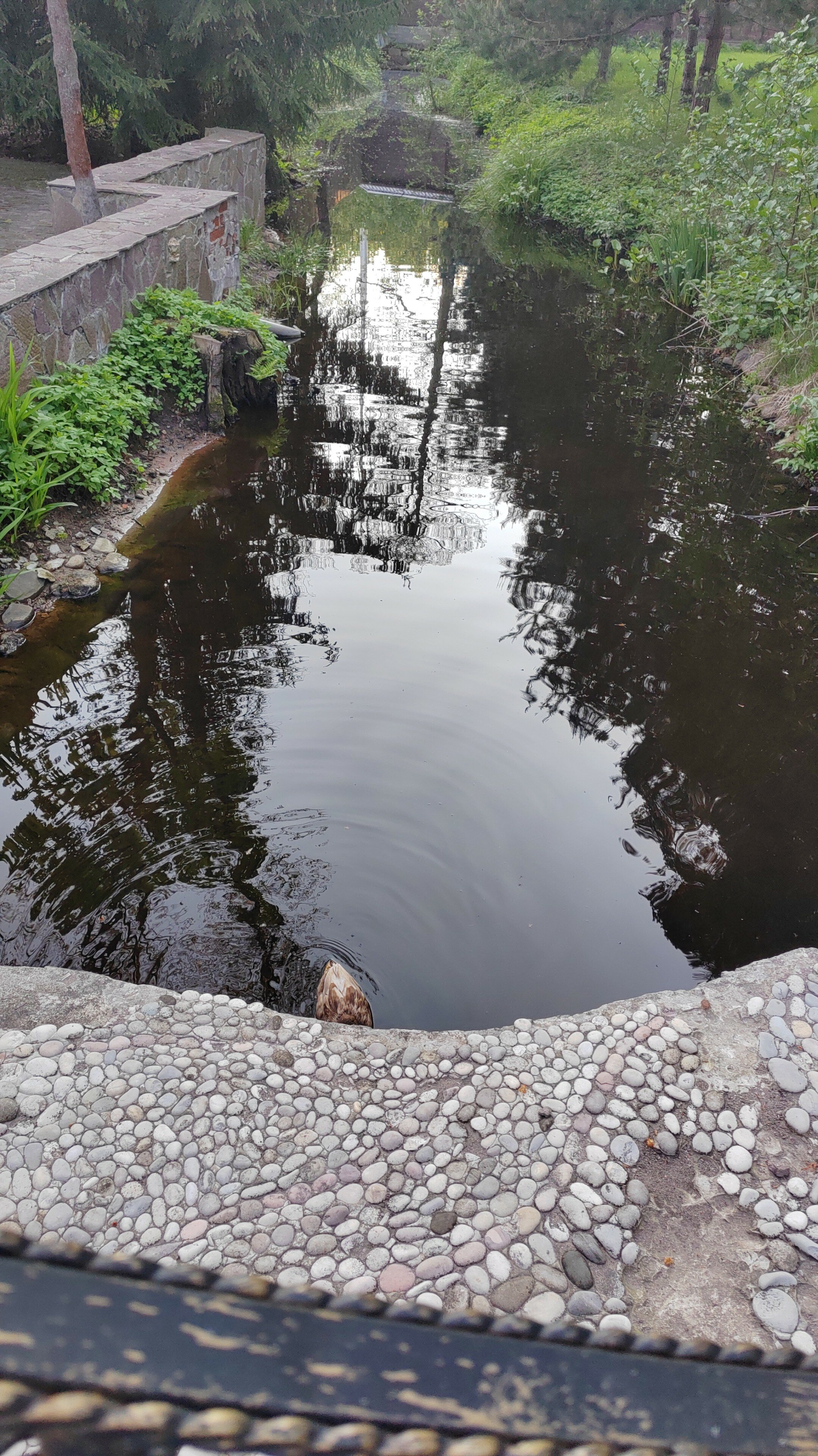 Фото Тихая заводь