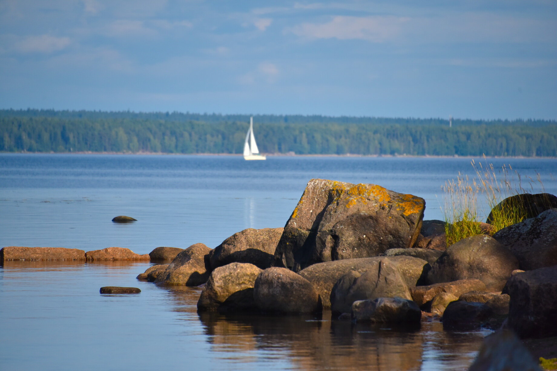 Фото Домик Коиви
