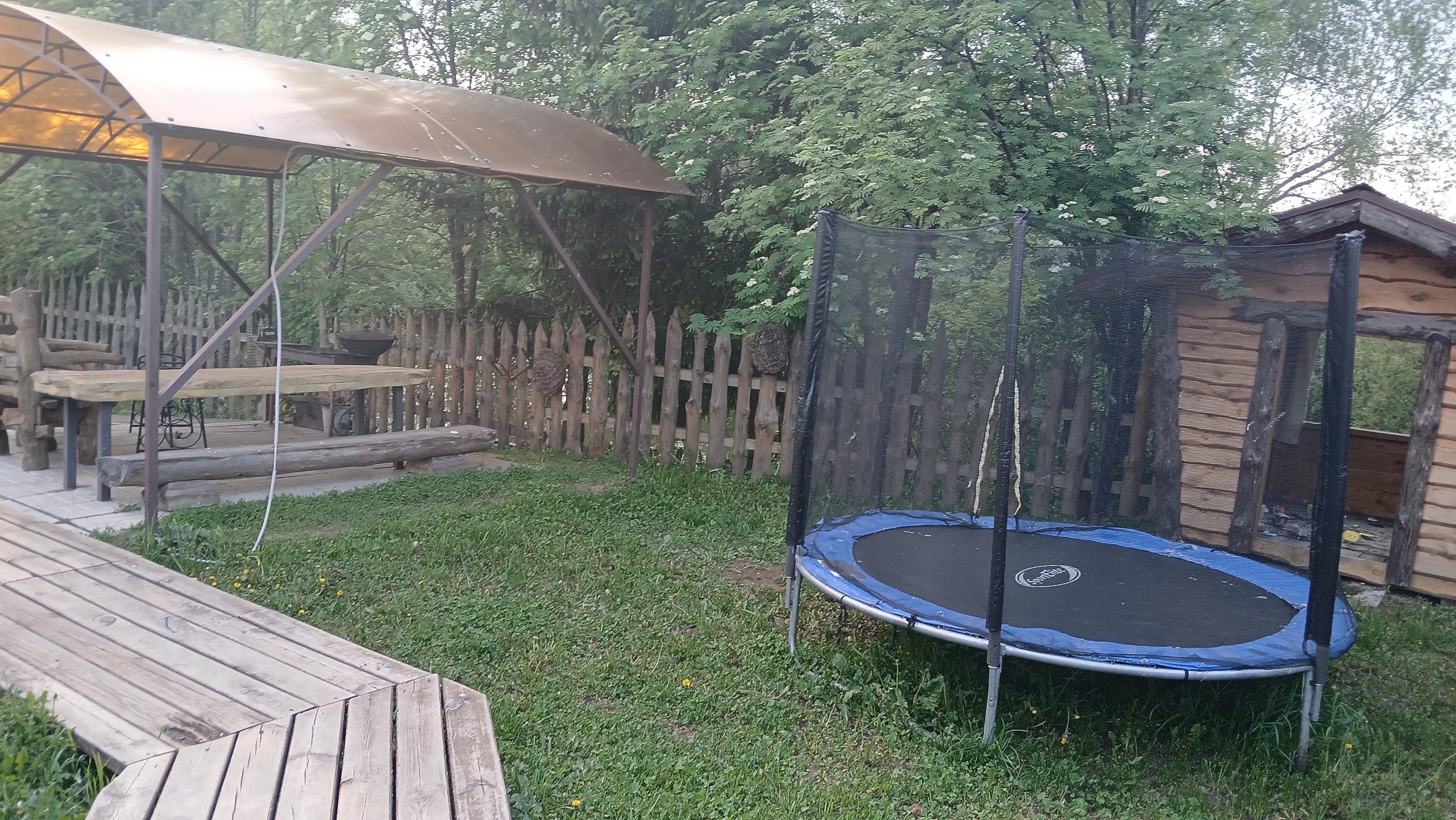 Фото У Борисыча