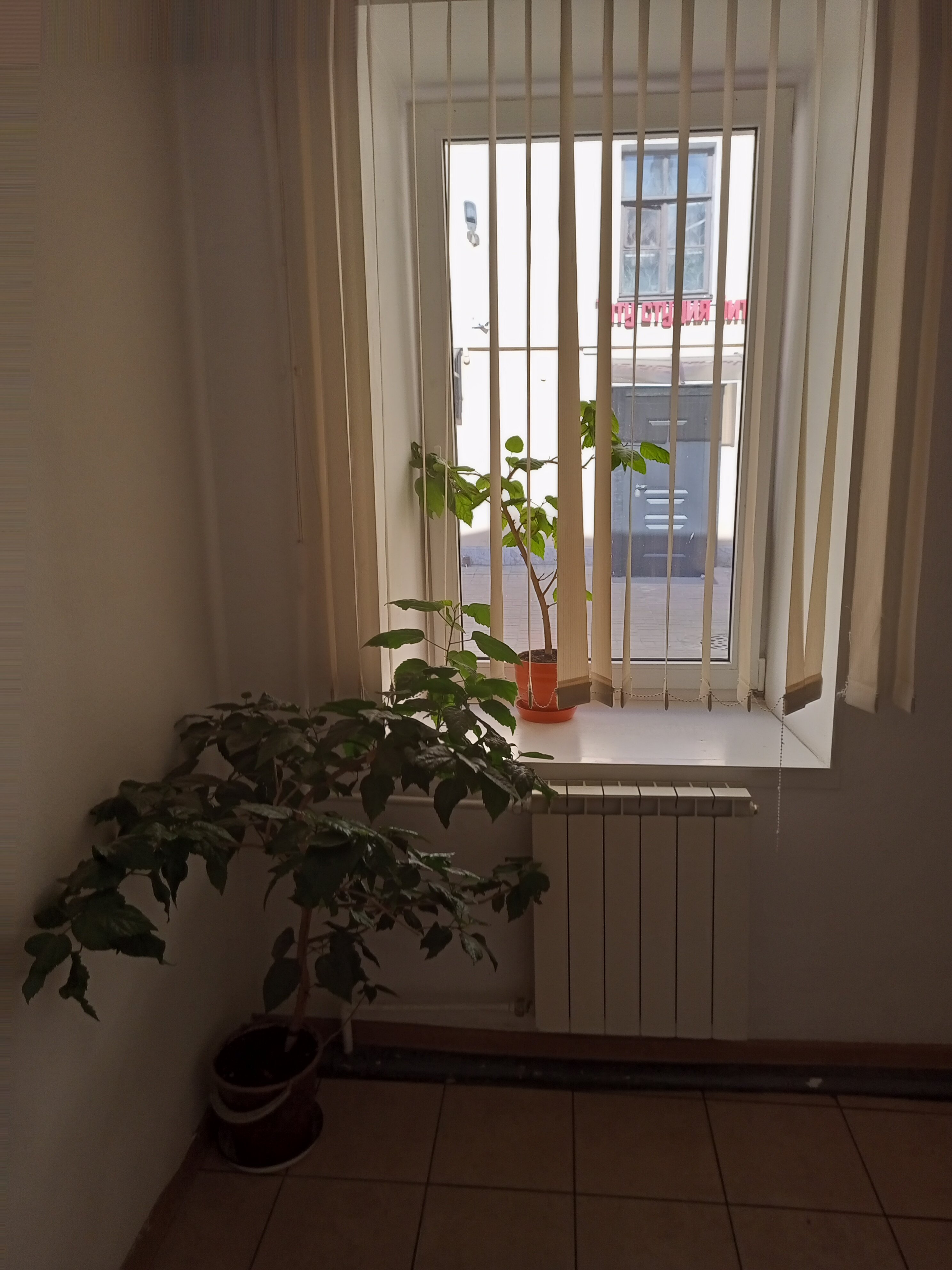 Фото Атмосфера