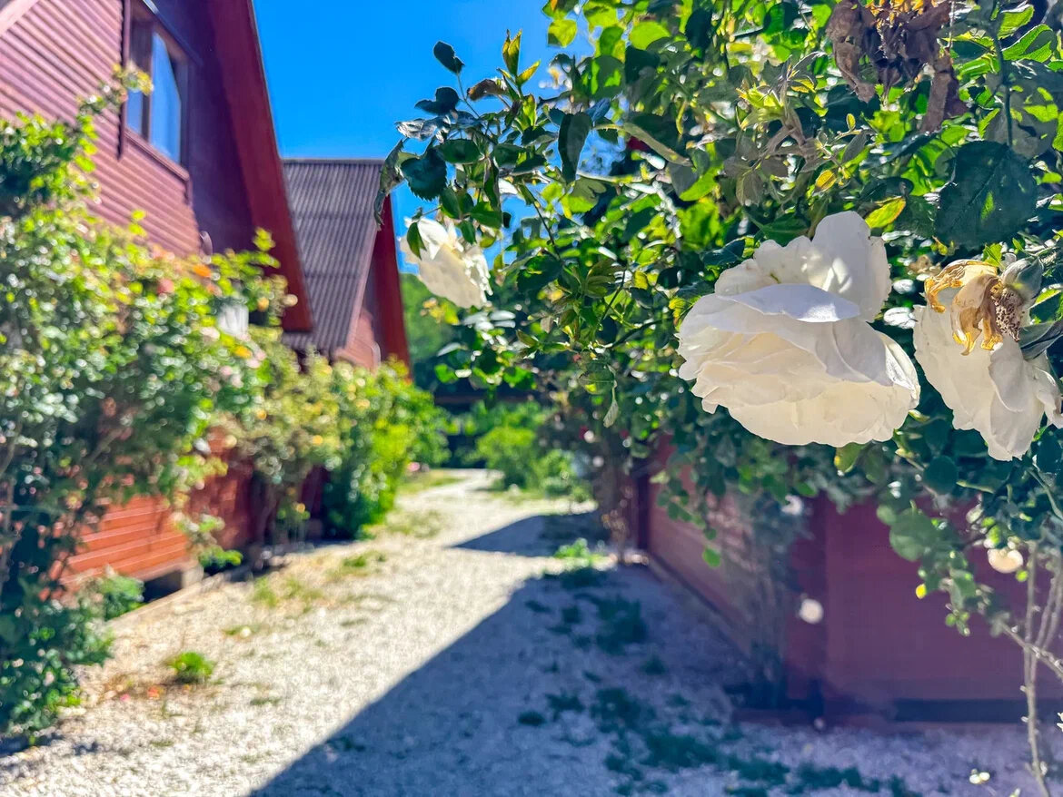 Фото 6 Континентов