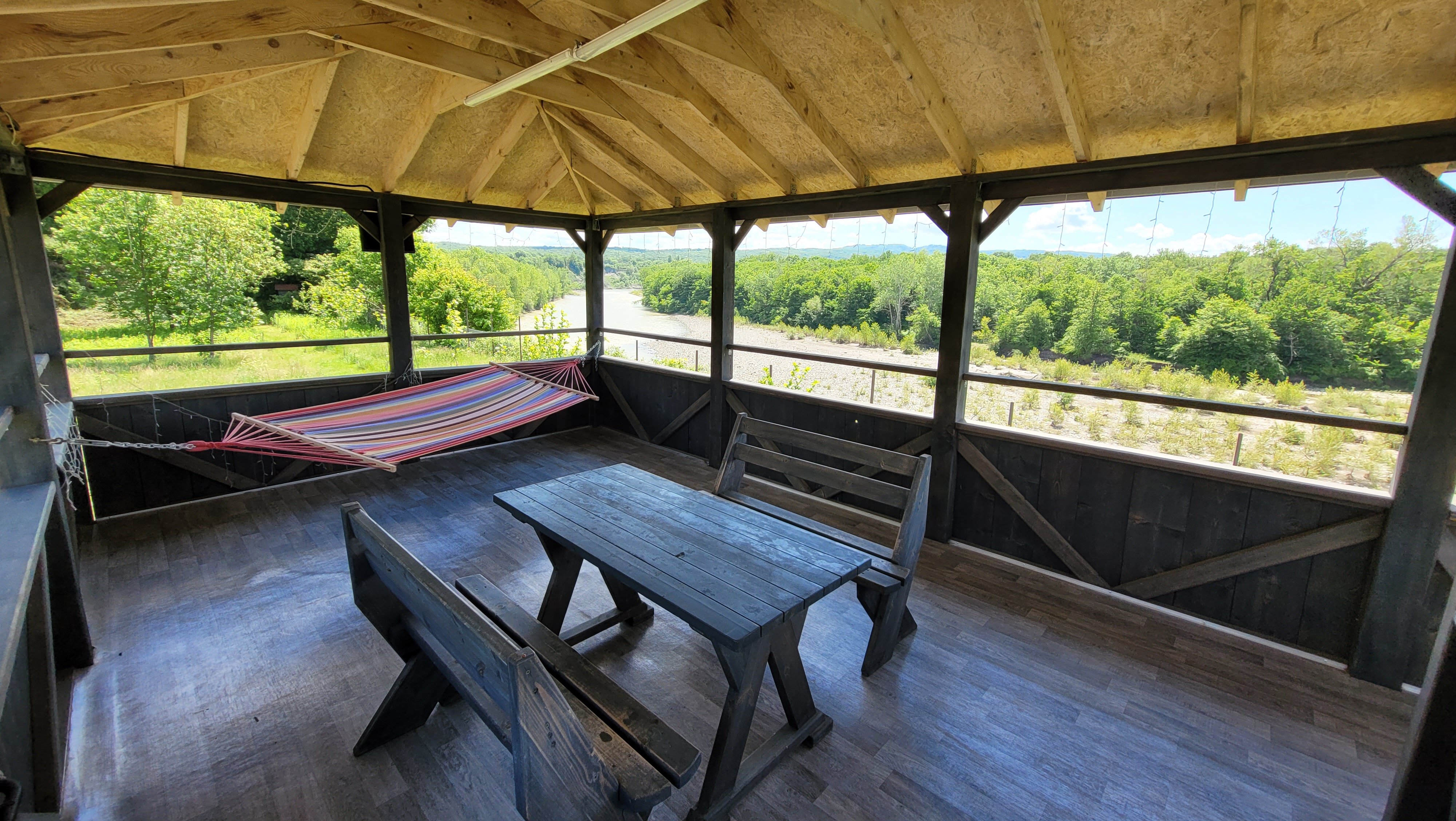 Фото Павлония