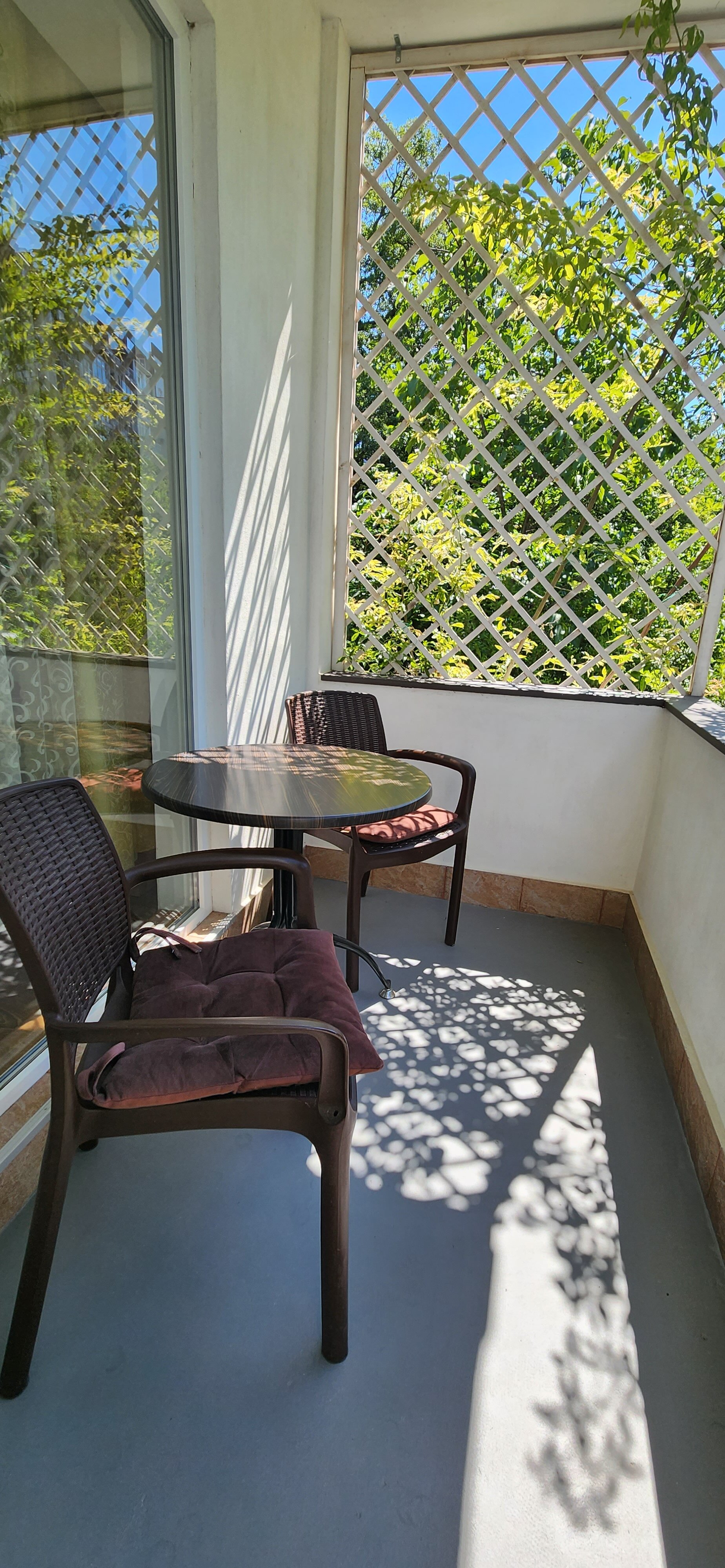 Фото Лаванда на Глазкрицкого