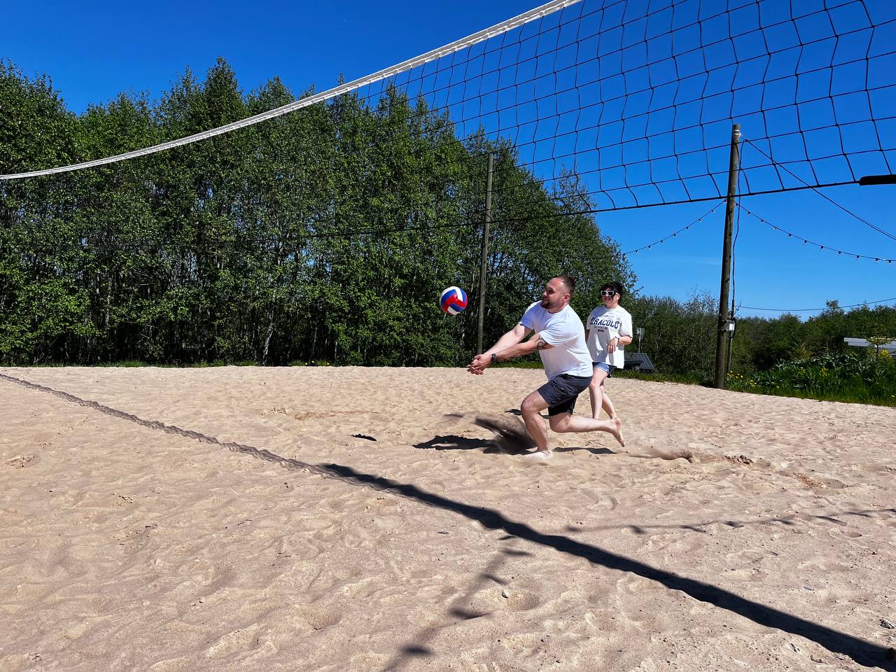 Фото Мишка на прудах