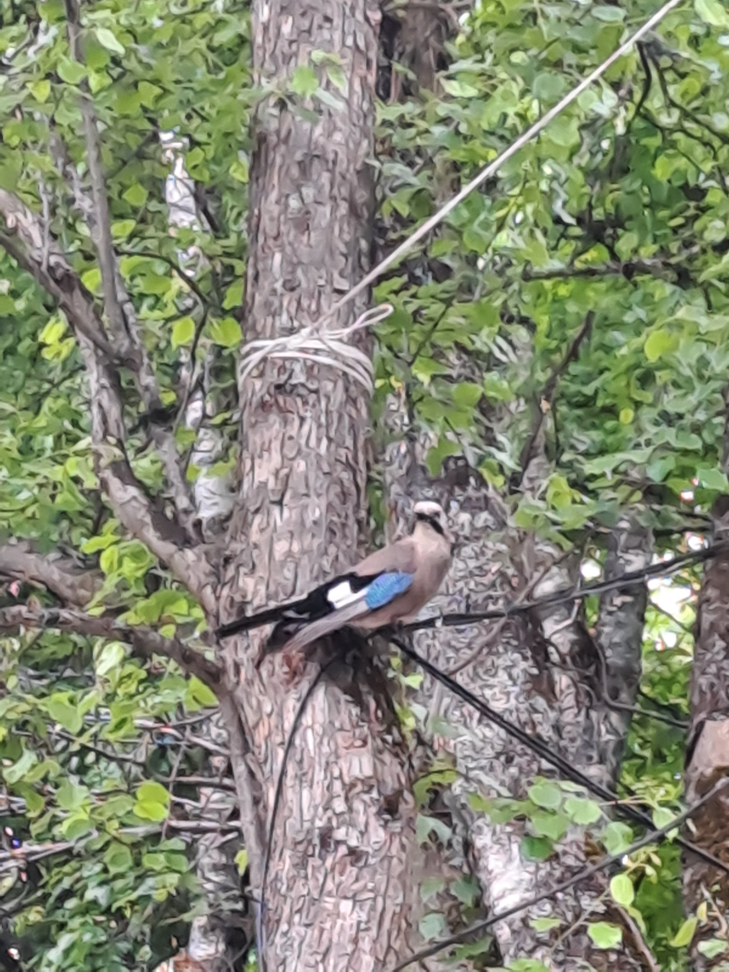 Фото Архызская сказка