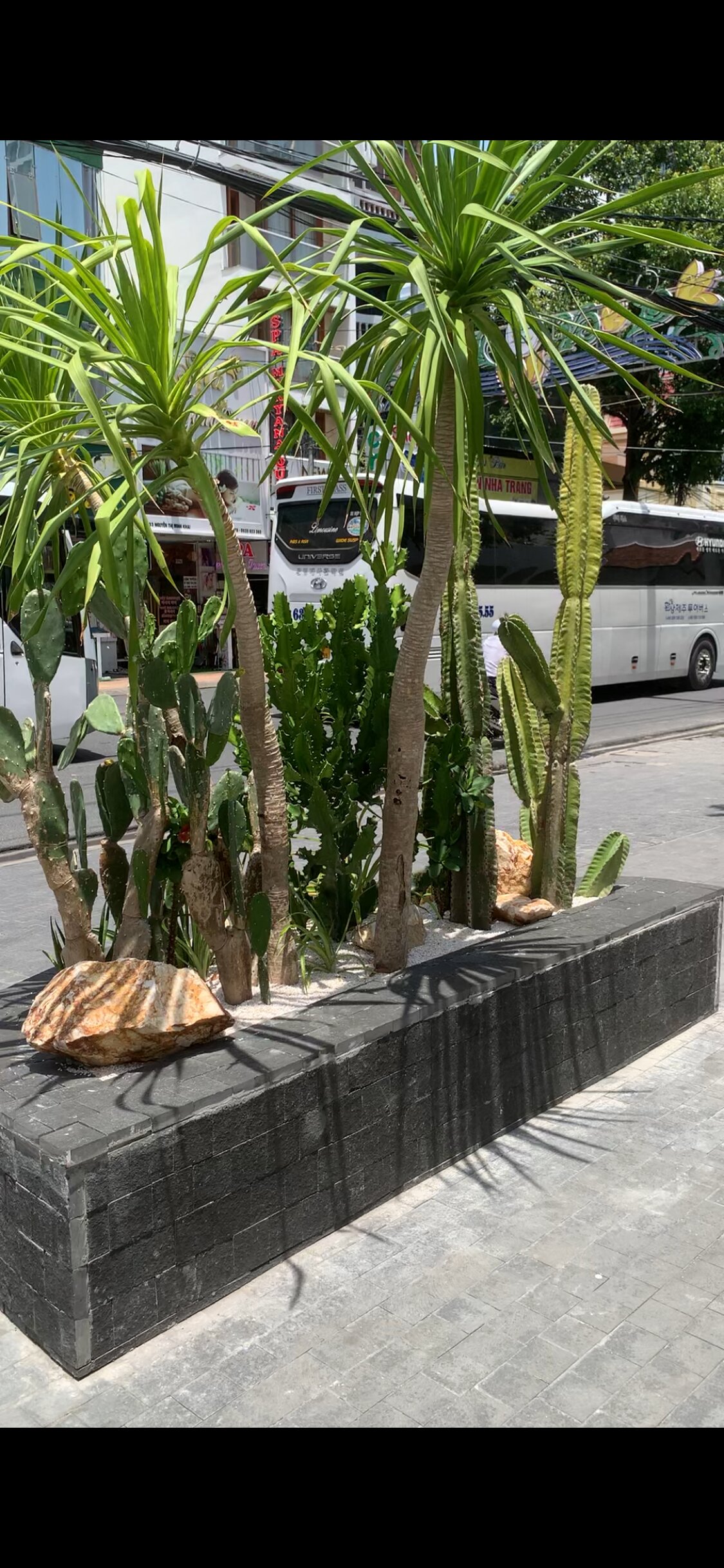 Фото Green World