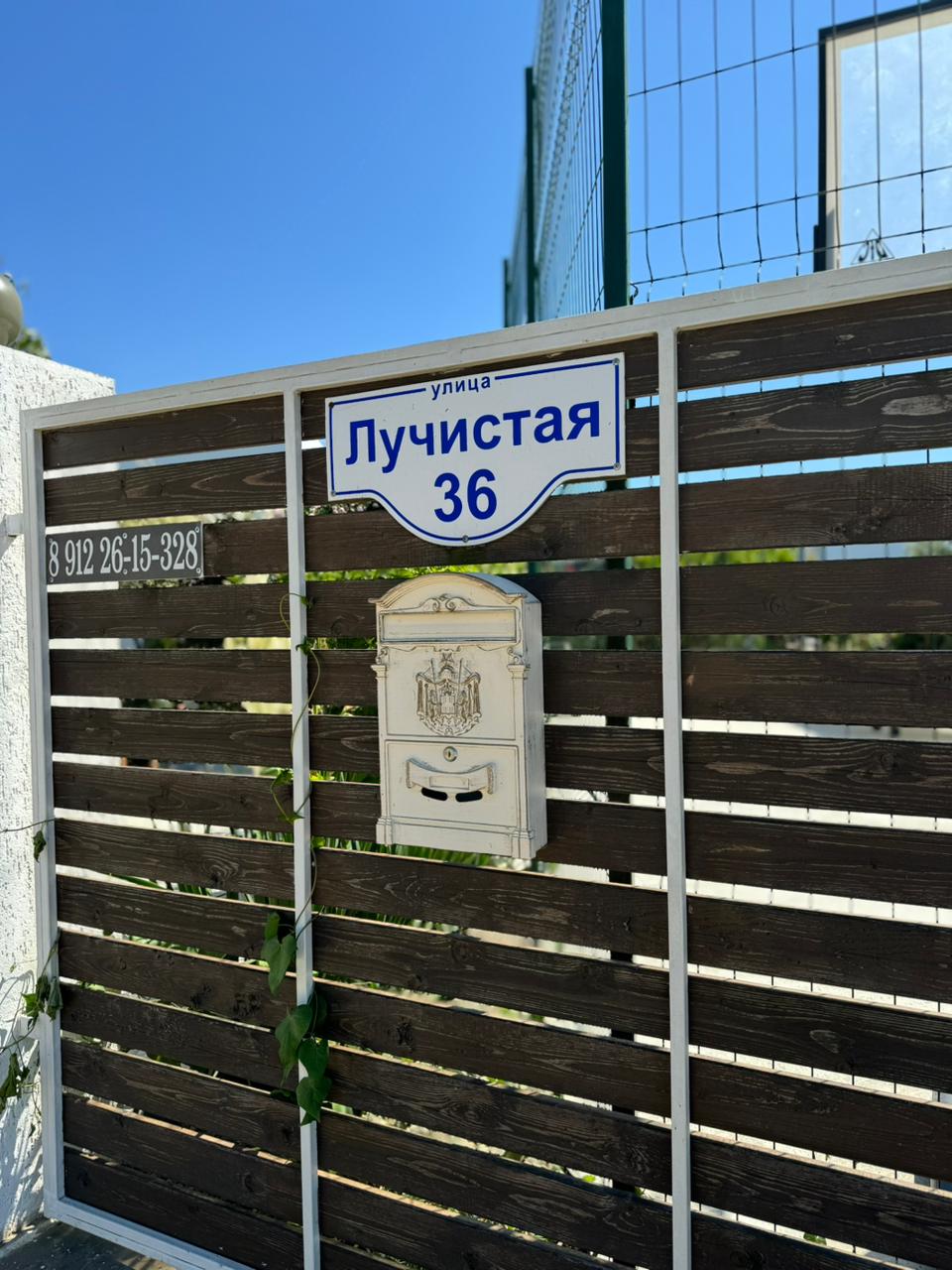 Фото Гранд Камелия