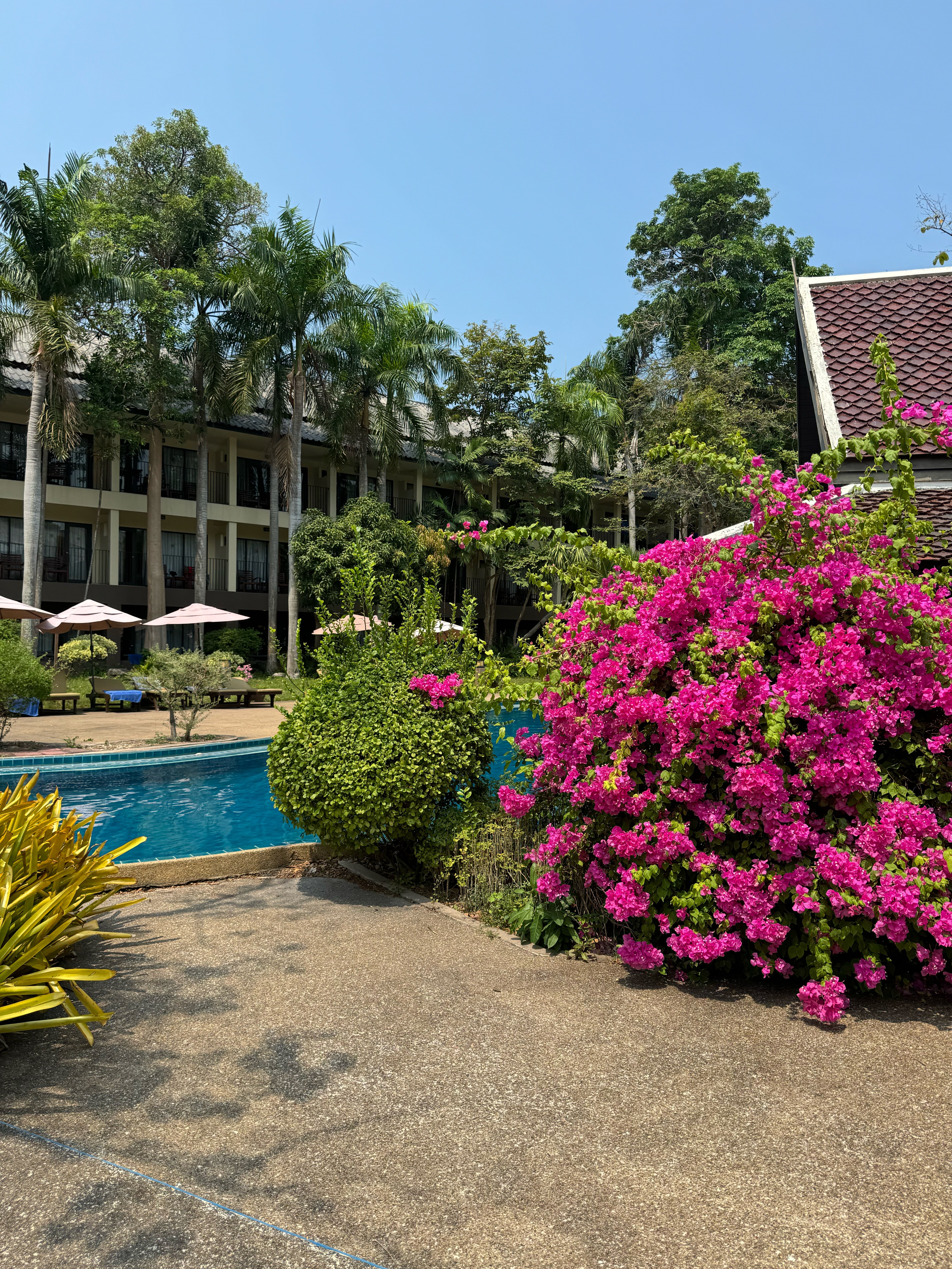 Фото The Green Park Resort