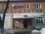 Роза (Ленинская ул., 1), стоматологическая клиника в Партизанске