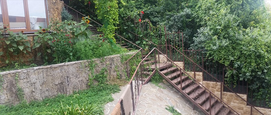 Фото Просперус