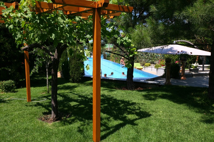 Фото Вязовая роща