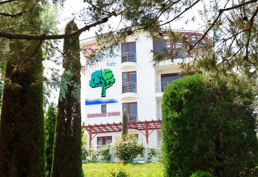 Фото Вязовая роща