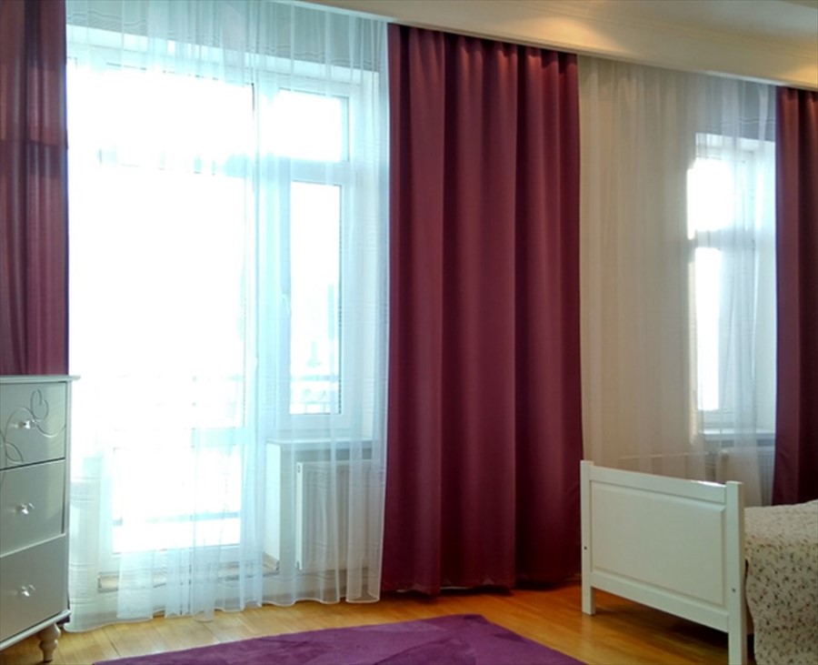 Фото Алая роза