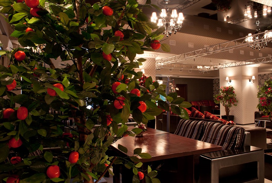 Фото Липецк